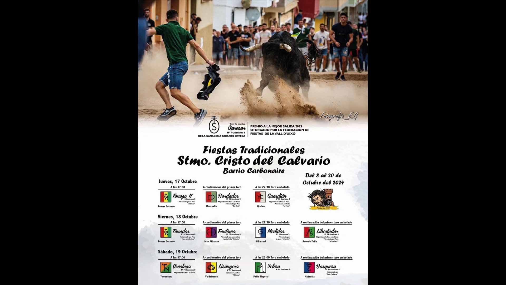 Póster del Video 1
