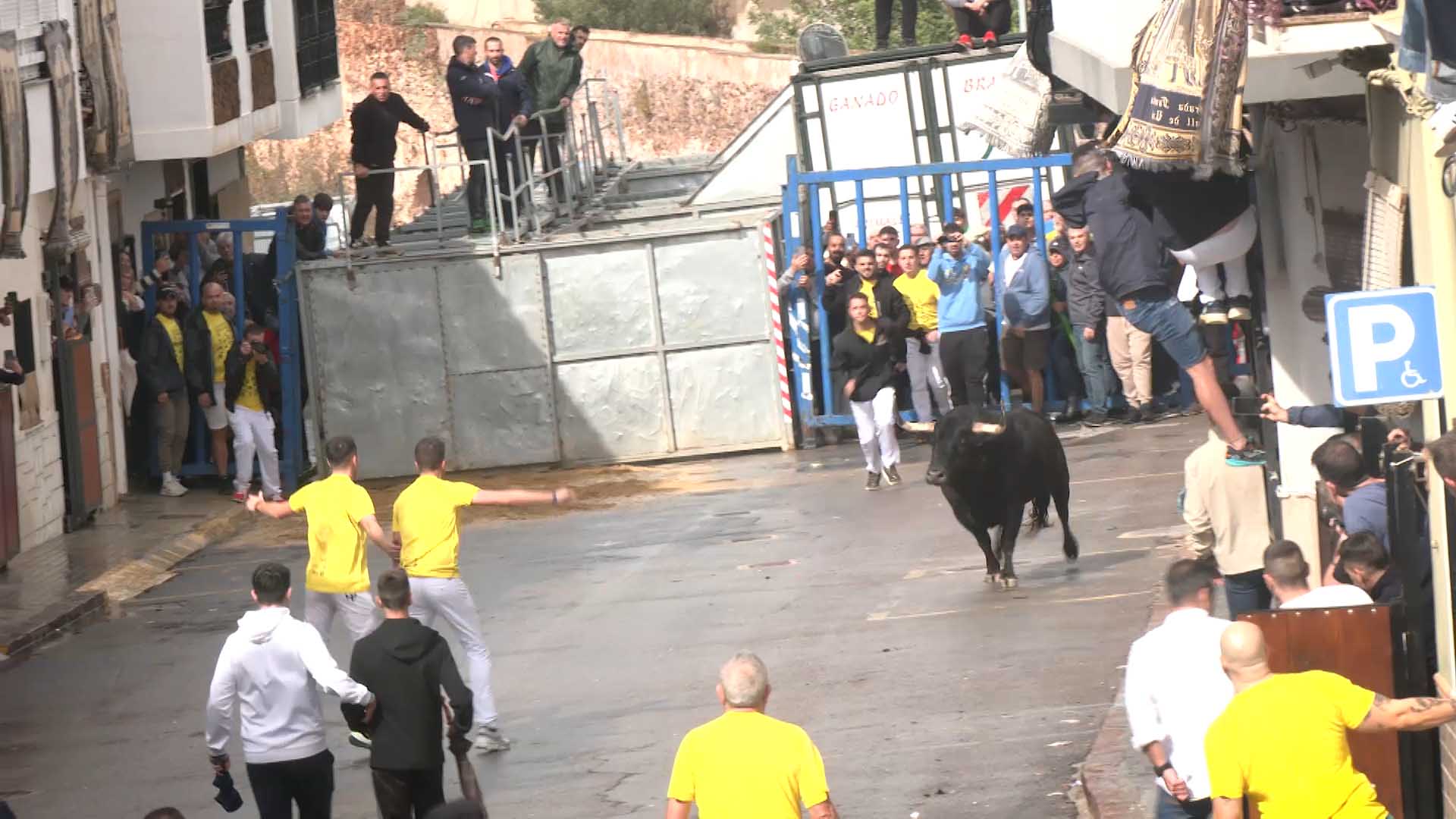 Póster del Video 1