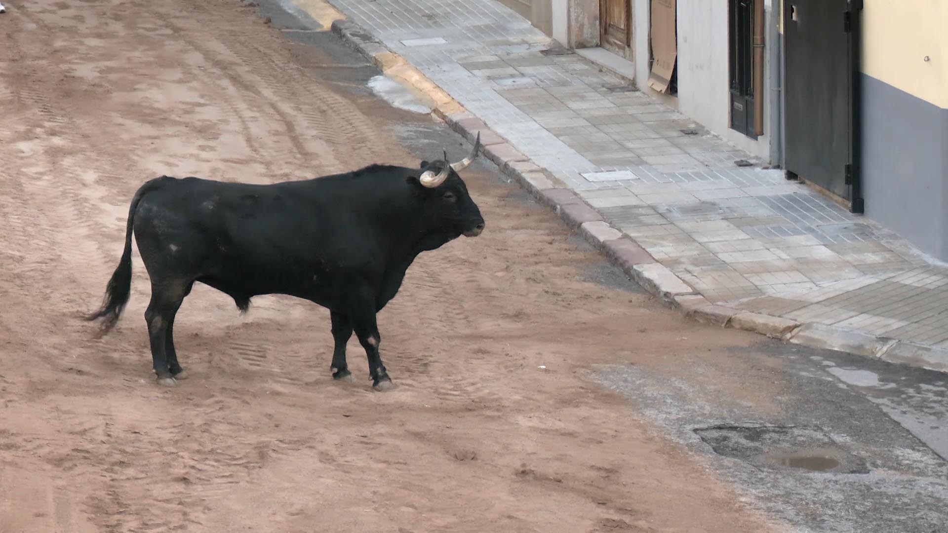 Póster del Video 1