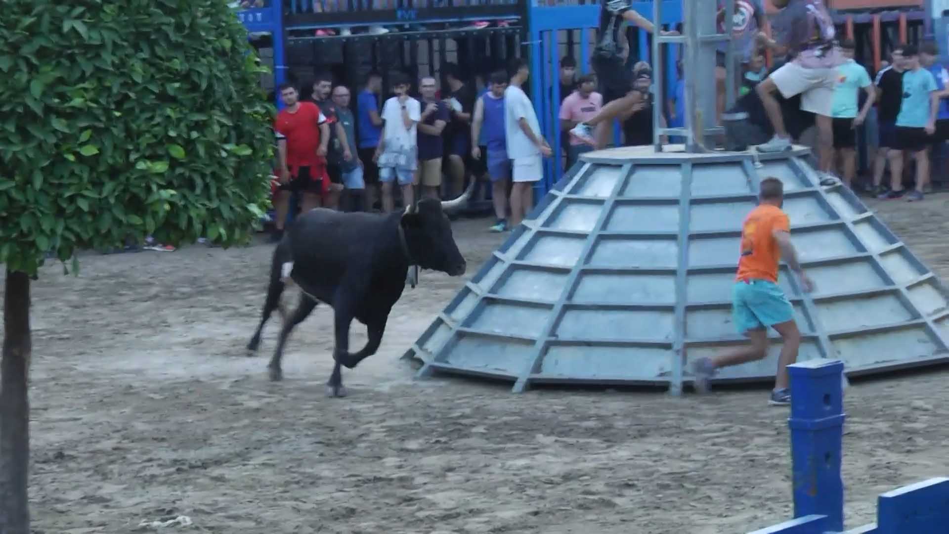 Póster del Video 1