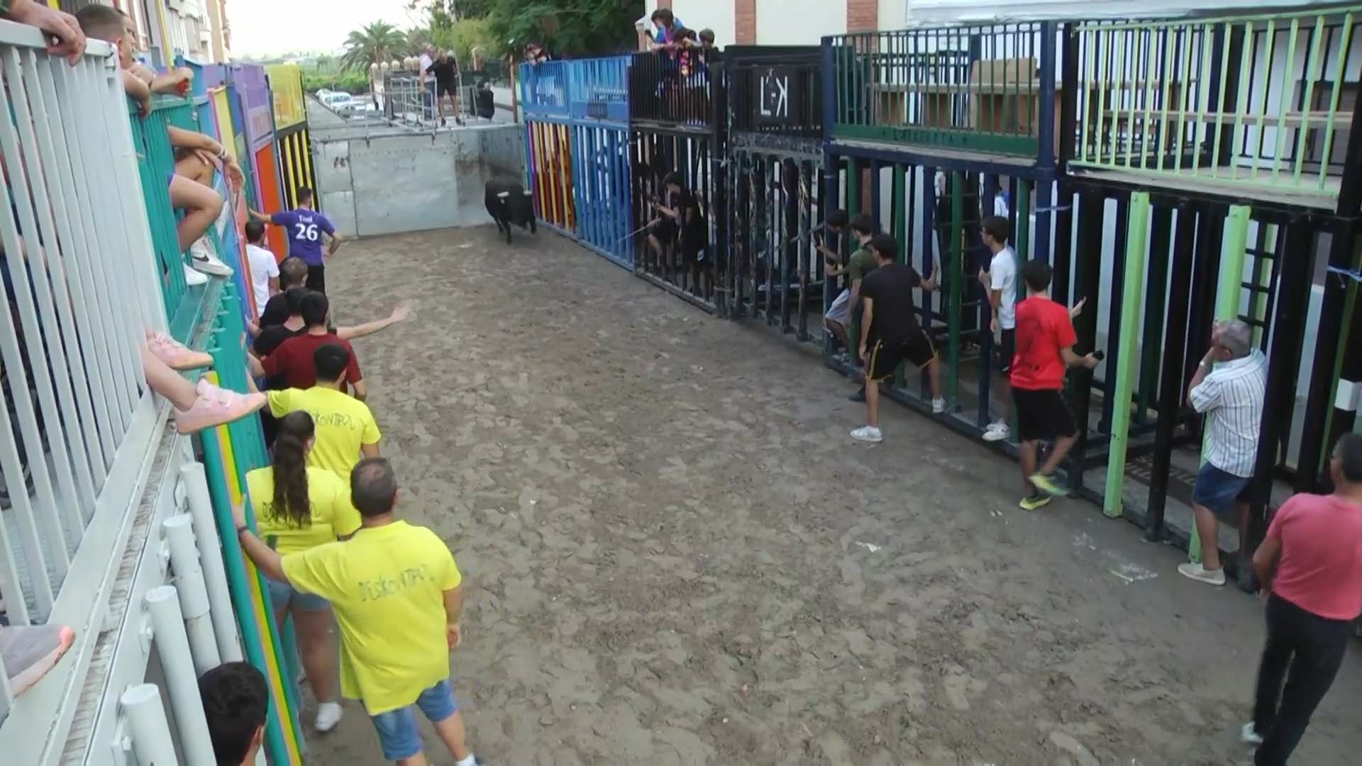 Póster del Video 1
