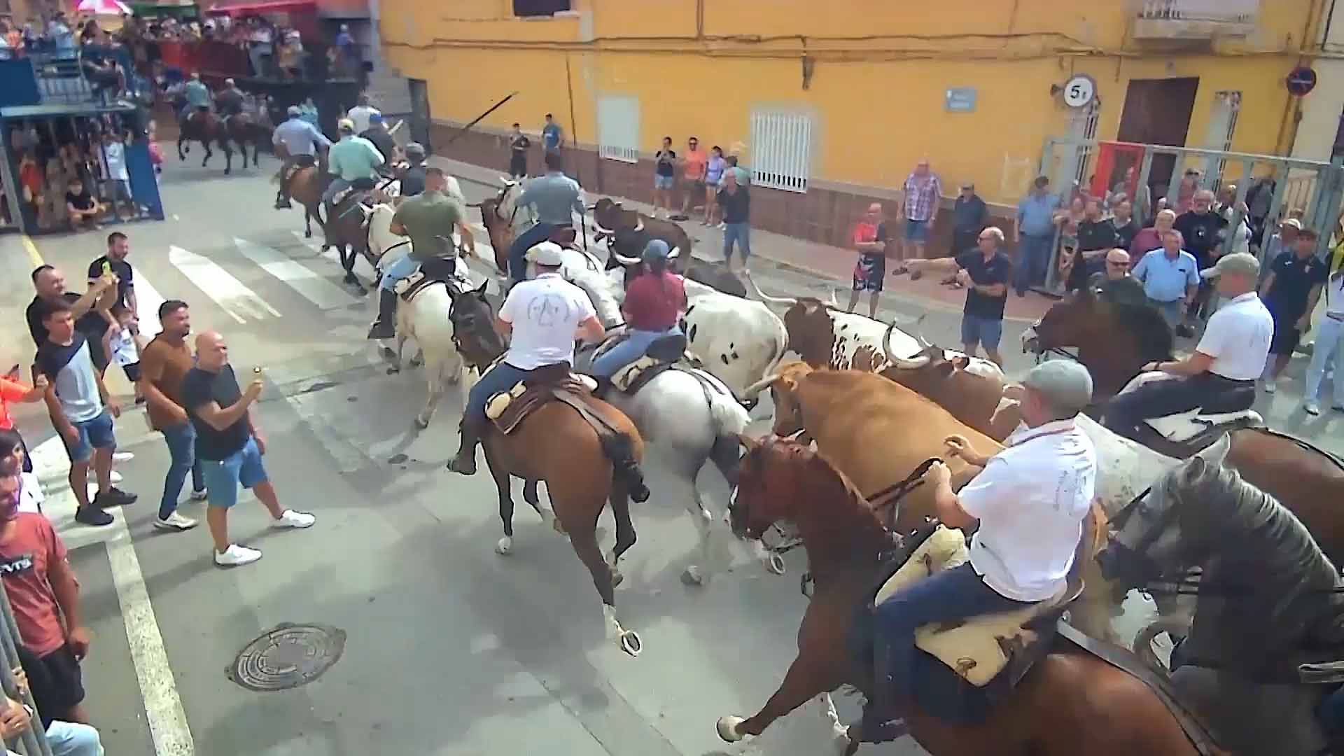 Póster del Video 1