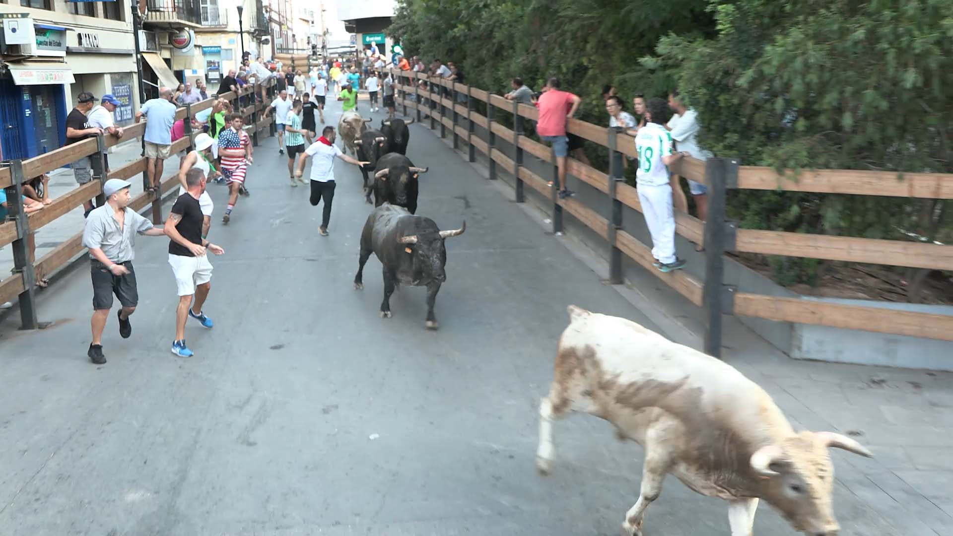 Póster del Video 1