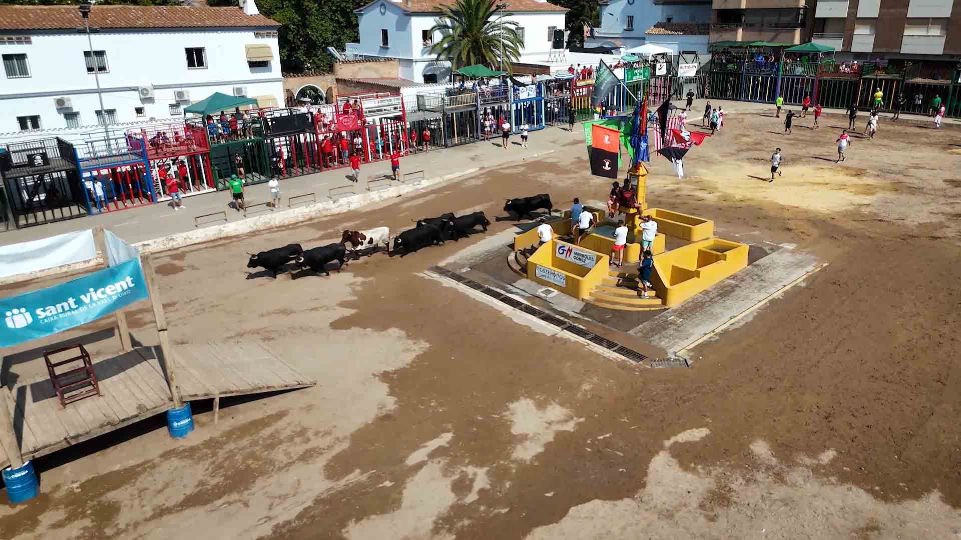 Póster del Video 1