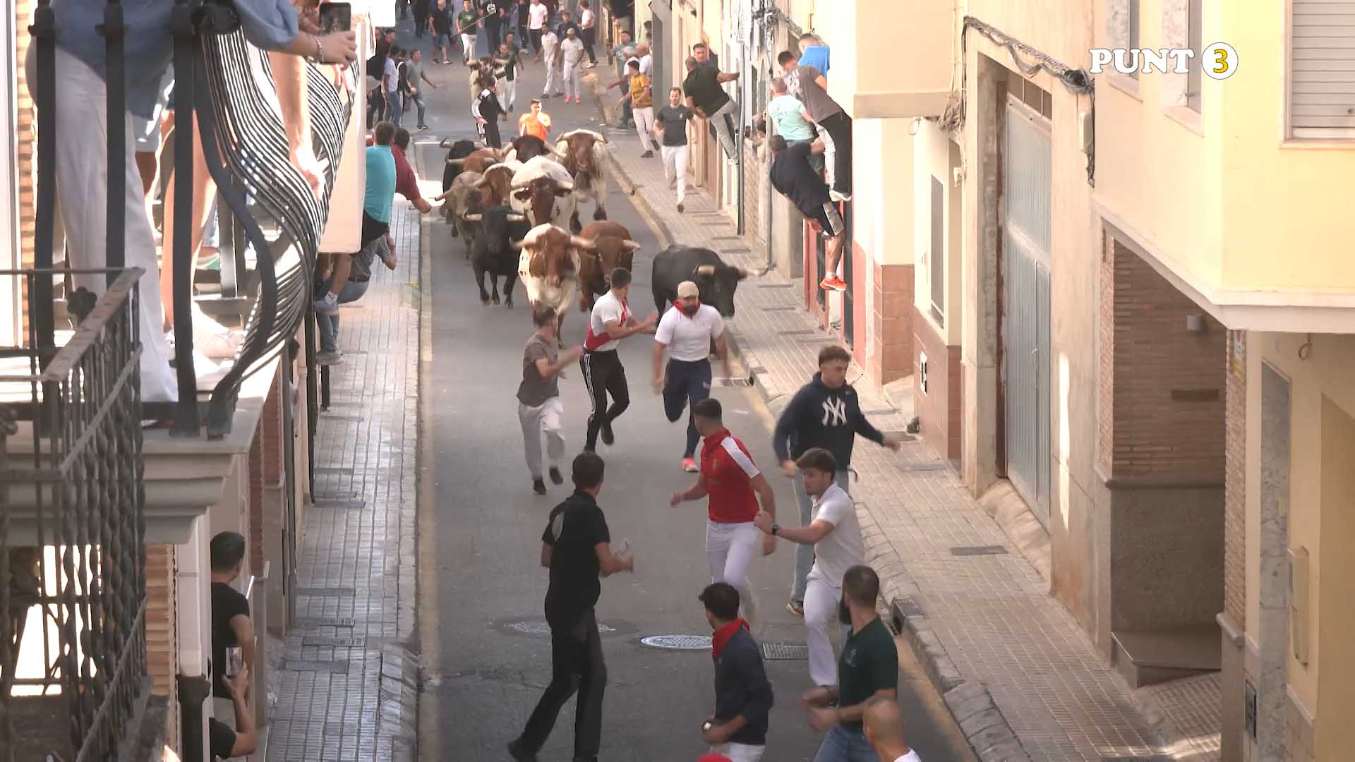 Póster del Video 1