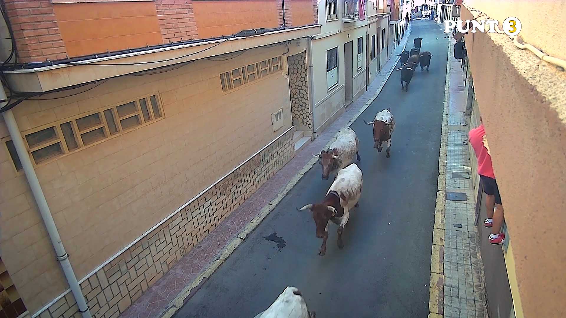 Póster del Video 1