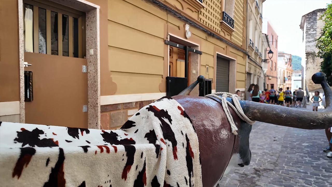 Póster del Video 1
