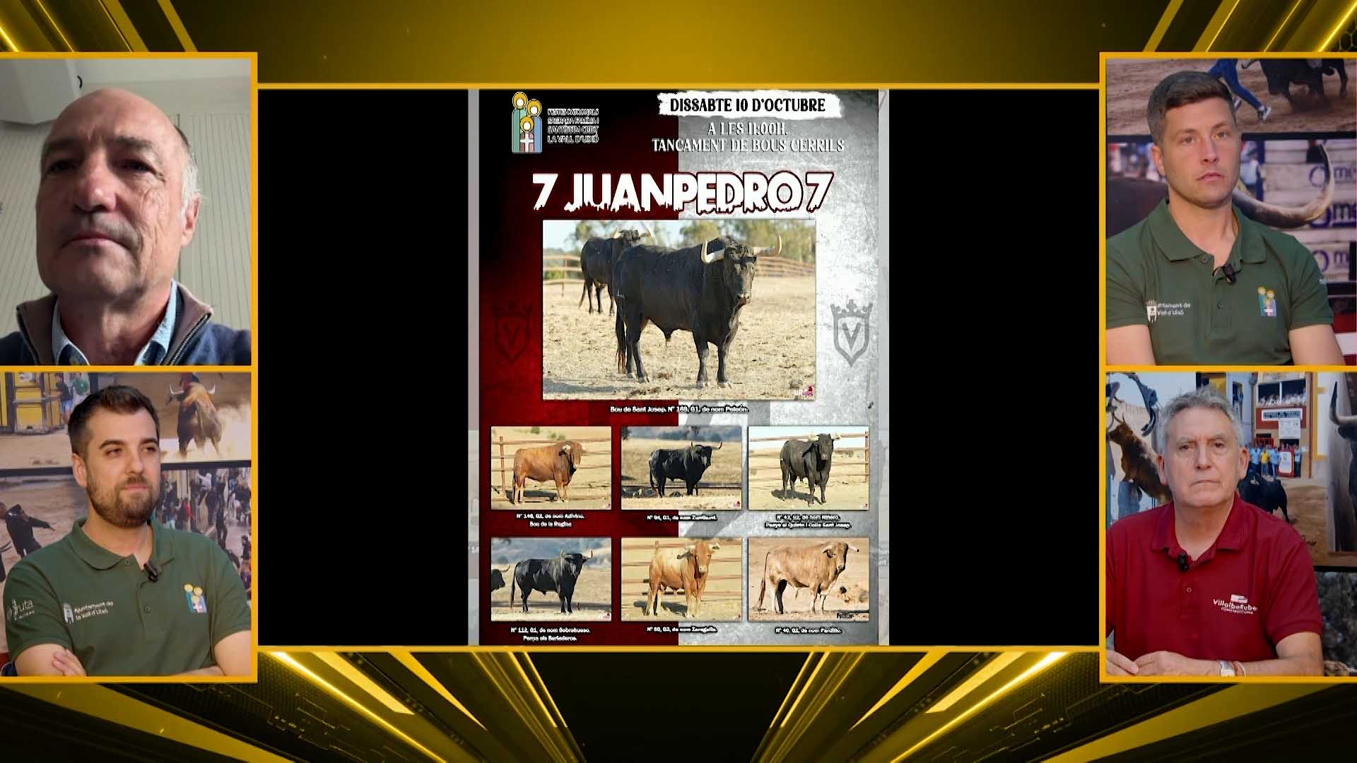 Póster del Video 1