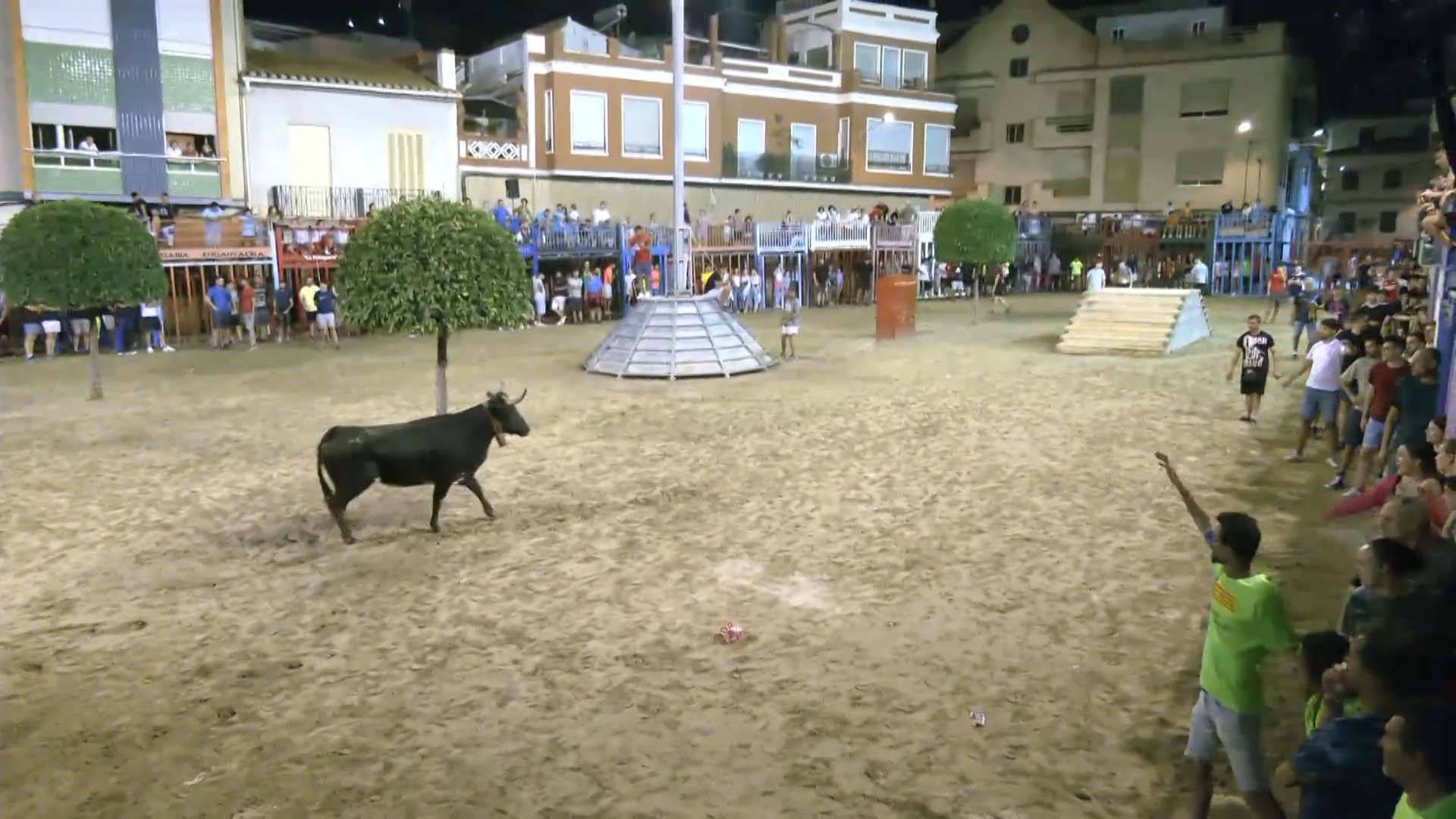 Póster del Video 1