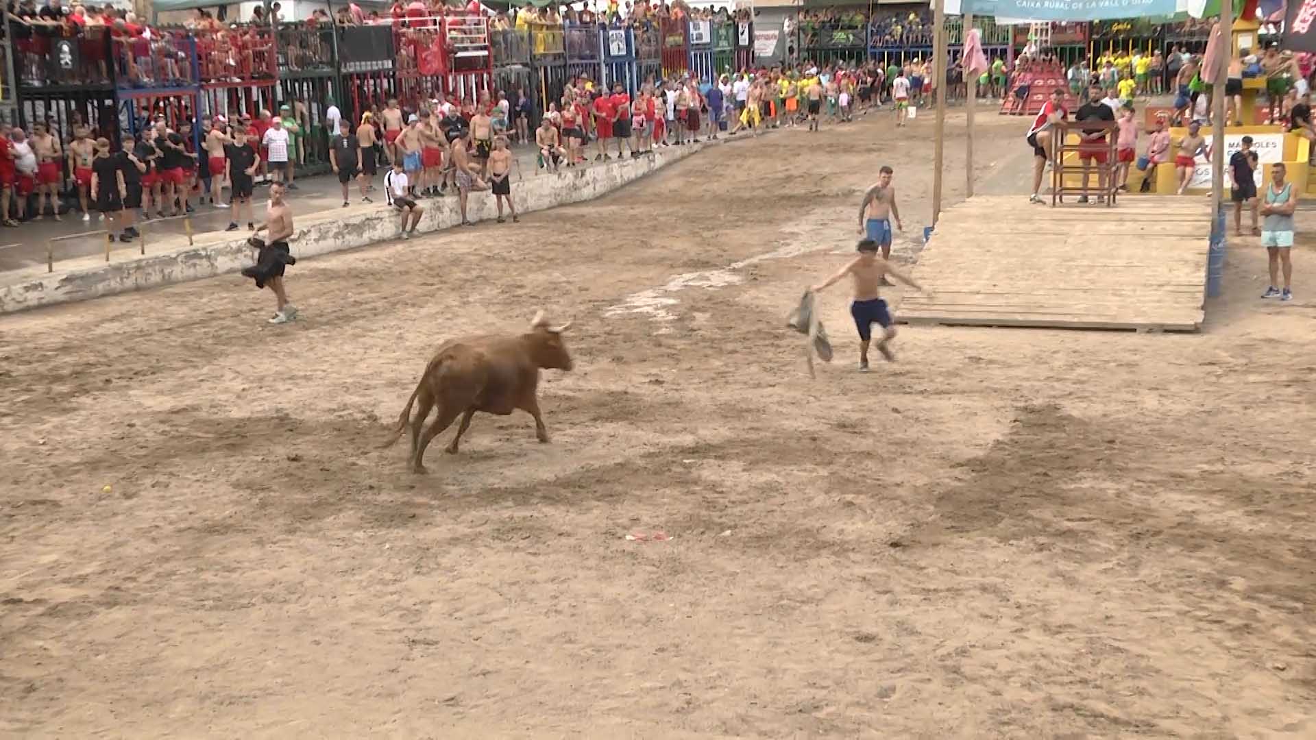 Póster del Video 1
