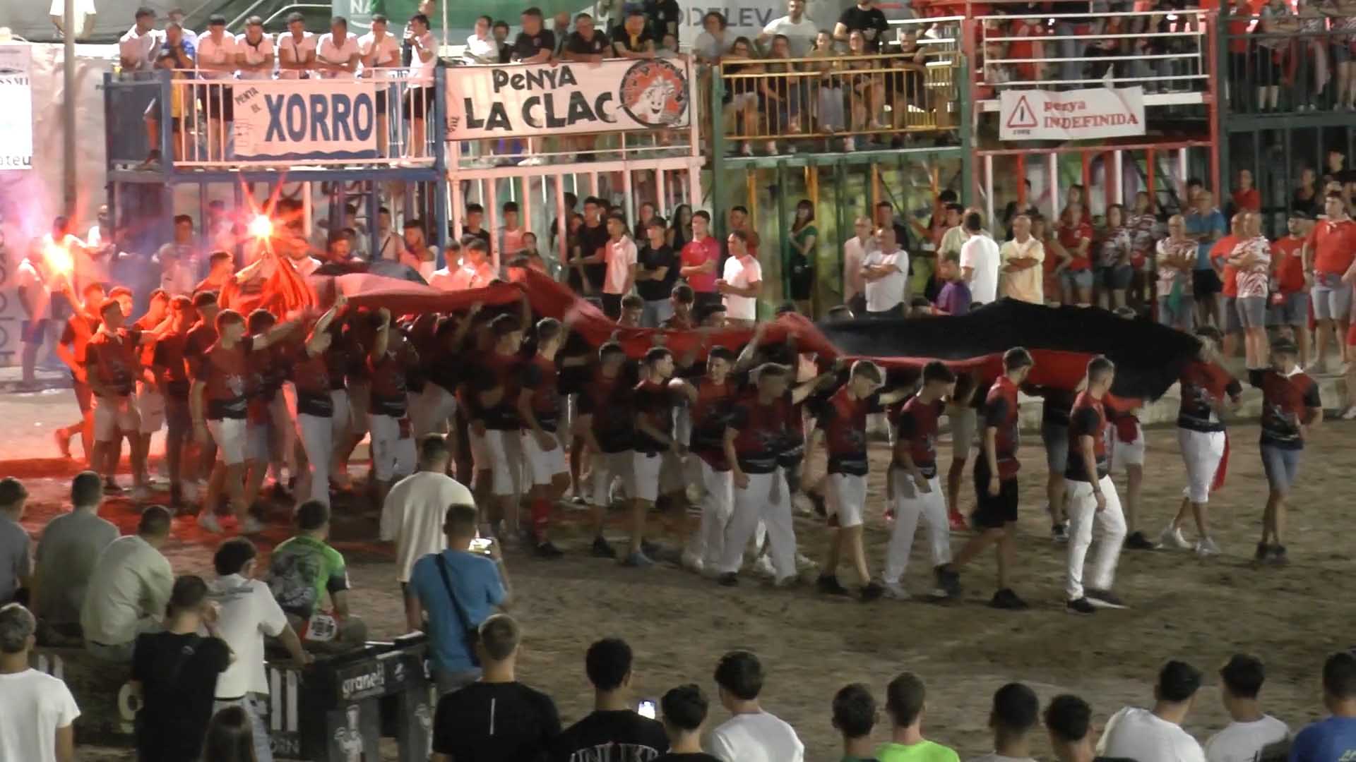 Póster del Video 1