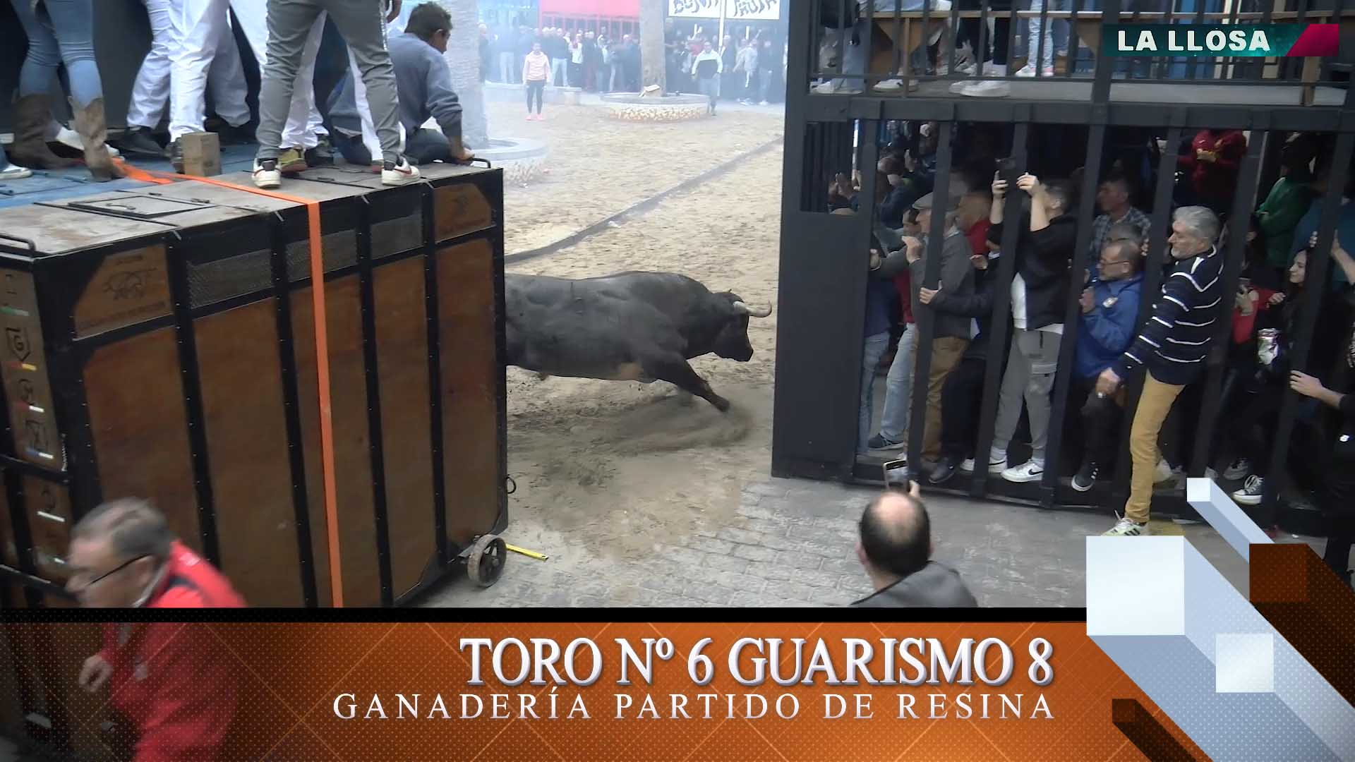 Póster del Video 1