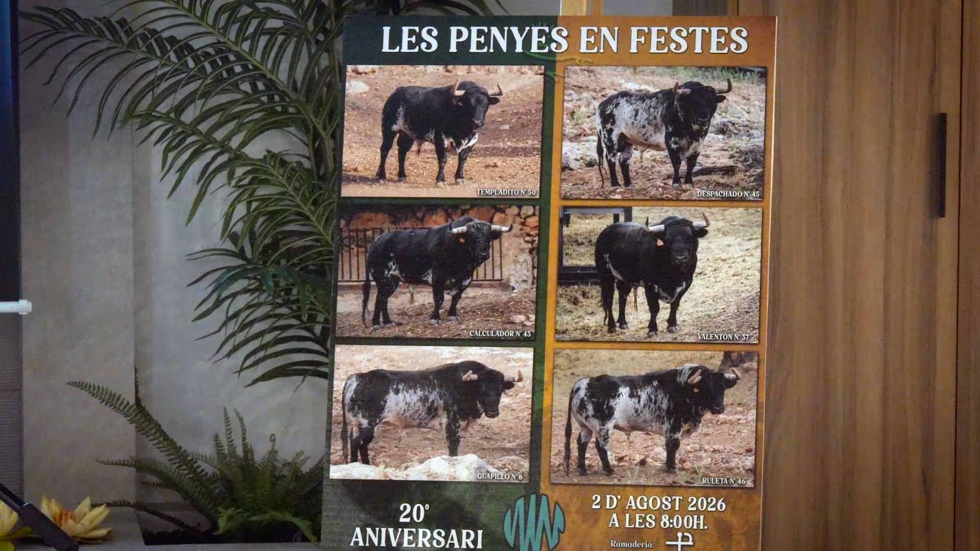 Póster del Video 1