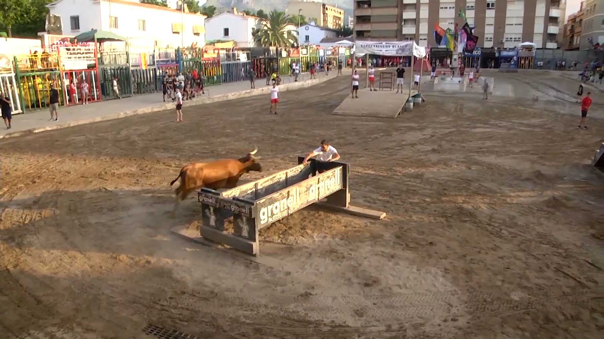 Póster del Video 1