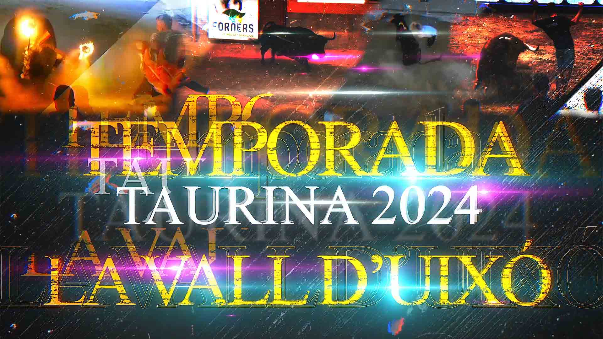 Póster del Video 1