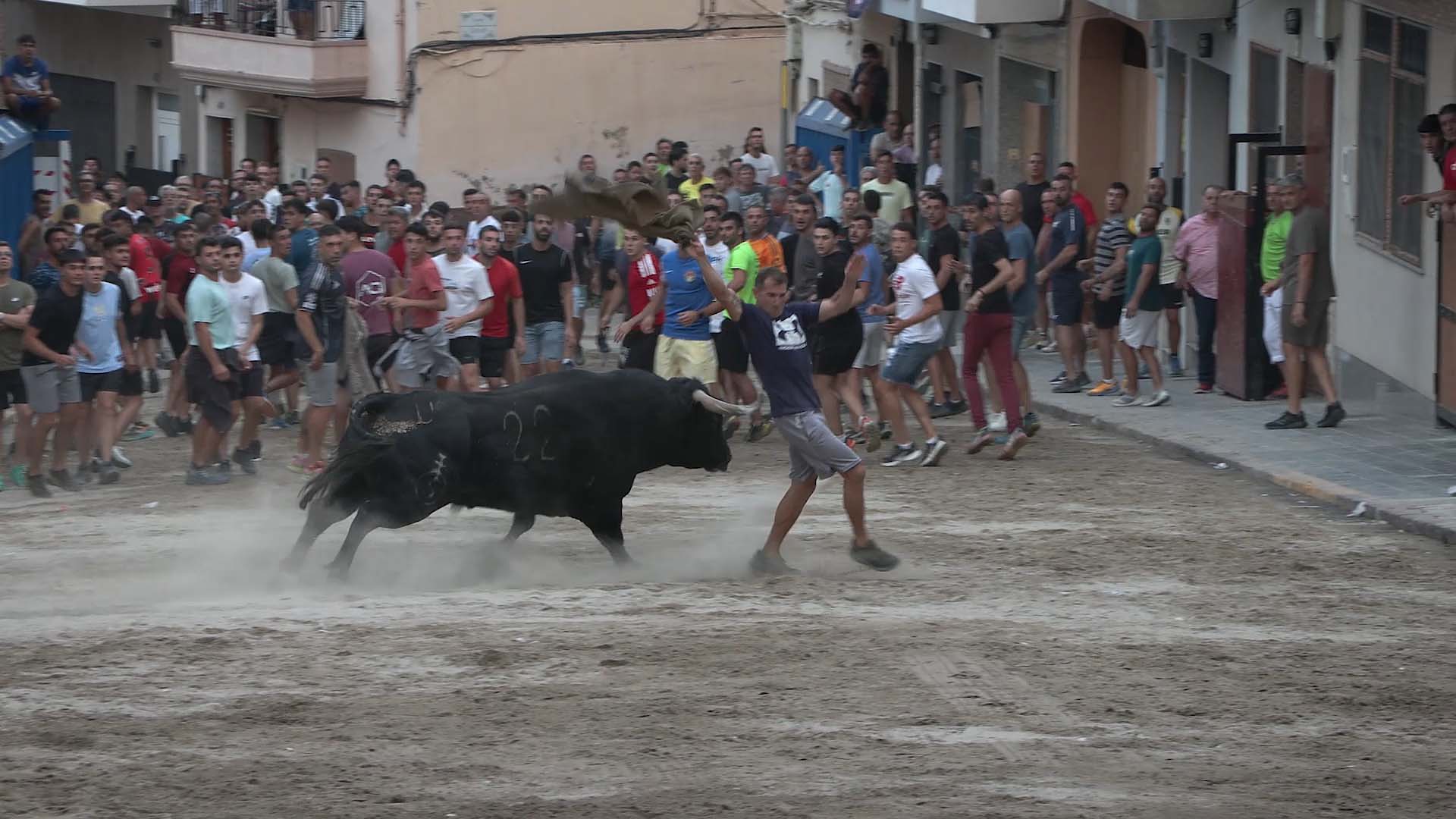 Póster del Video 1