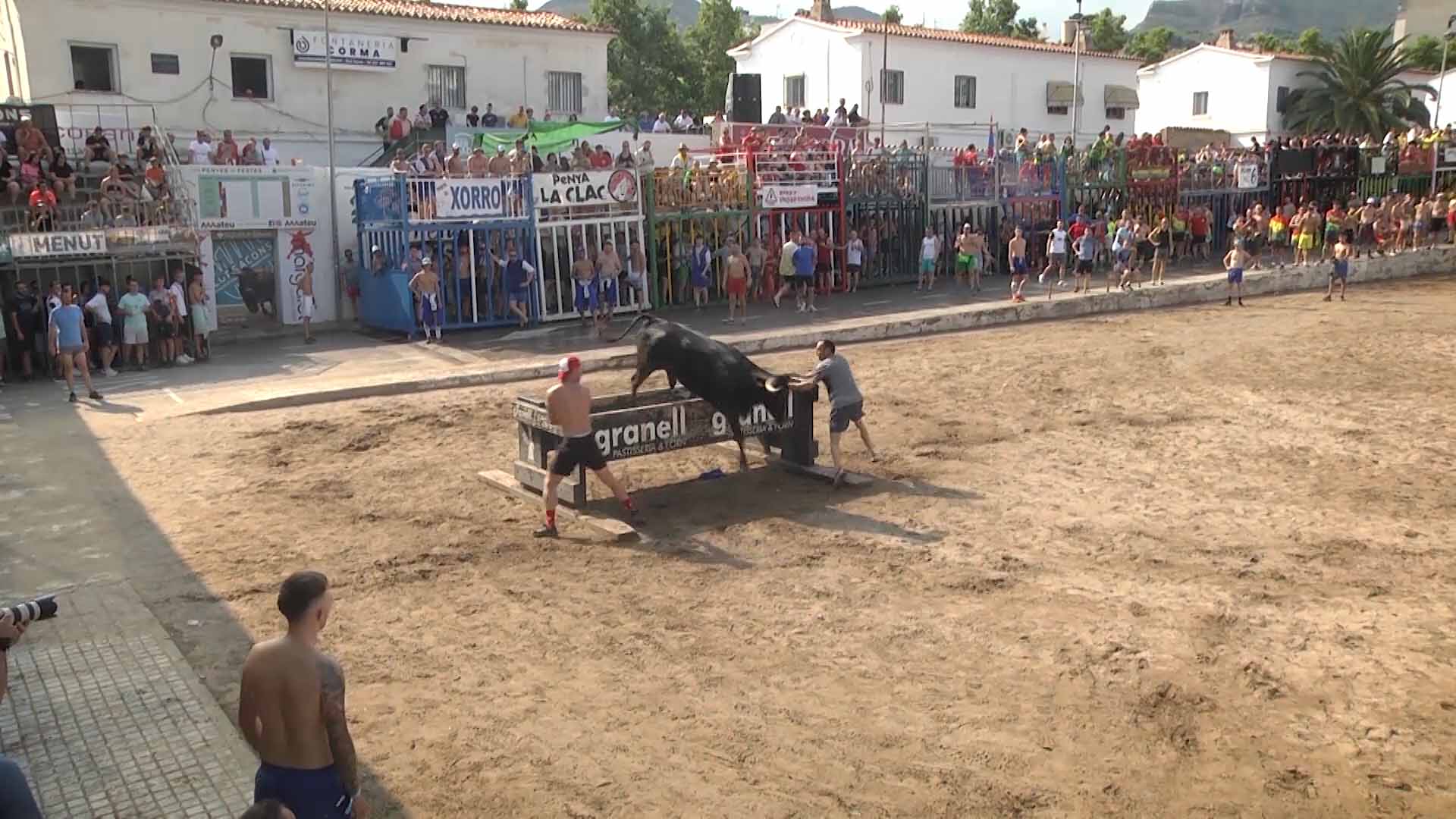 Imagen 1