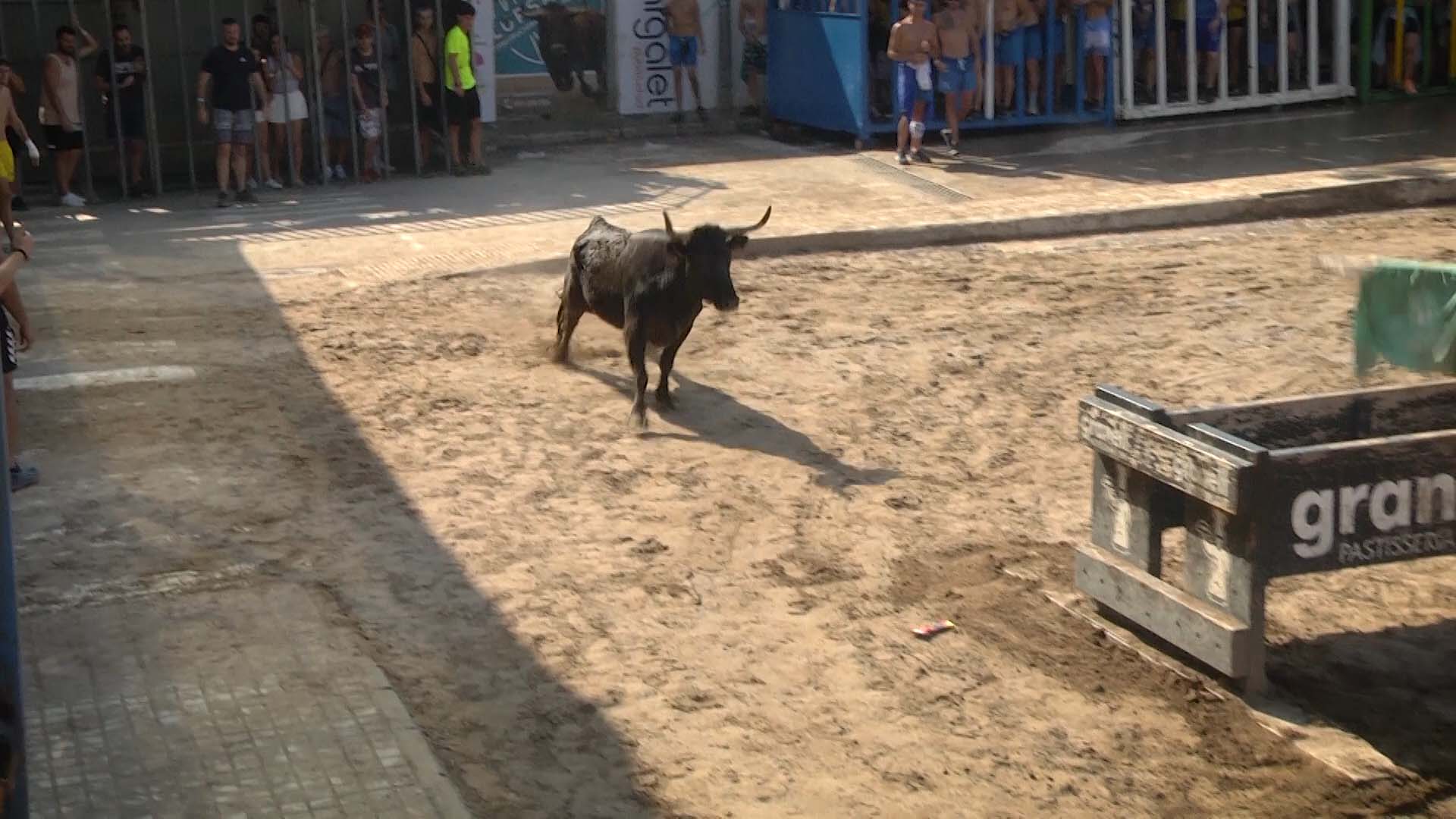 Póster del Video 1