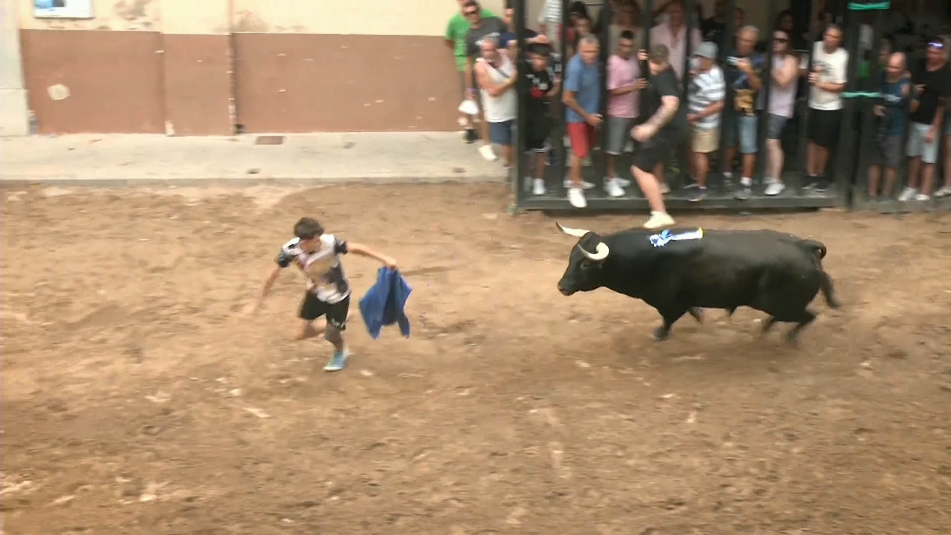 Póster del Video 1