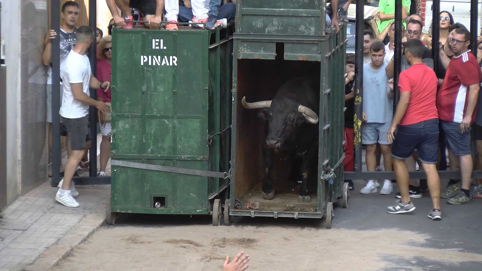 Póster del Video 1