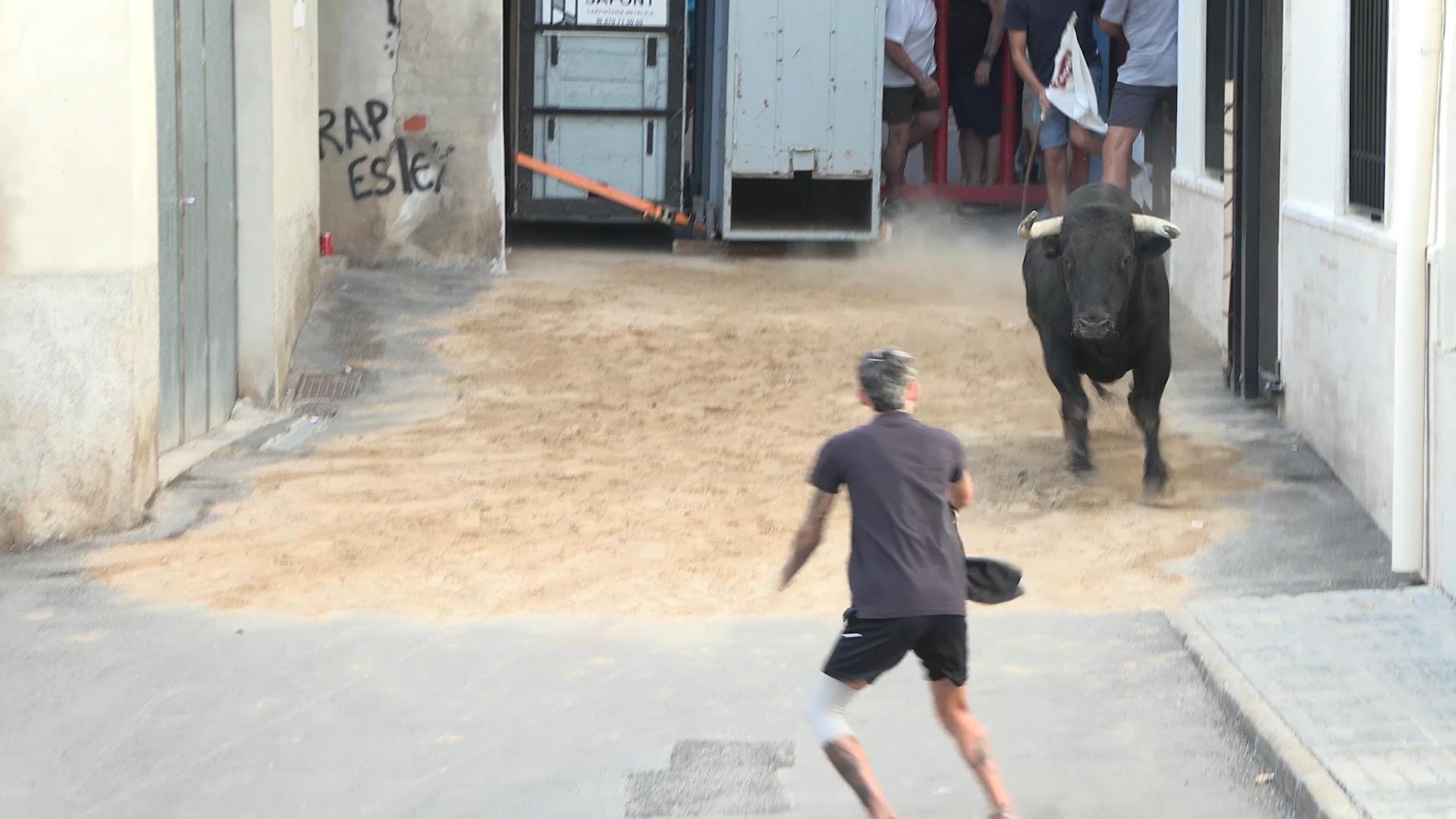 Póster del Video 1