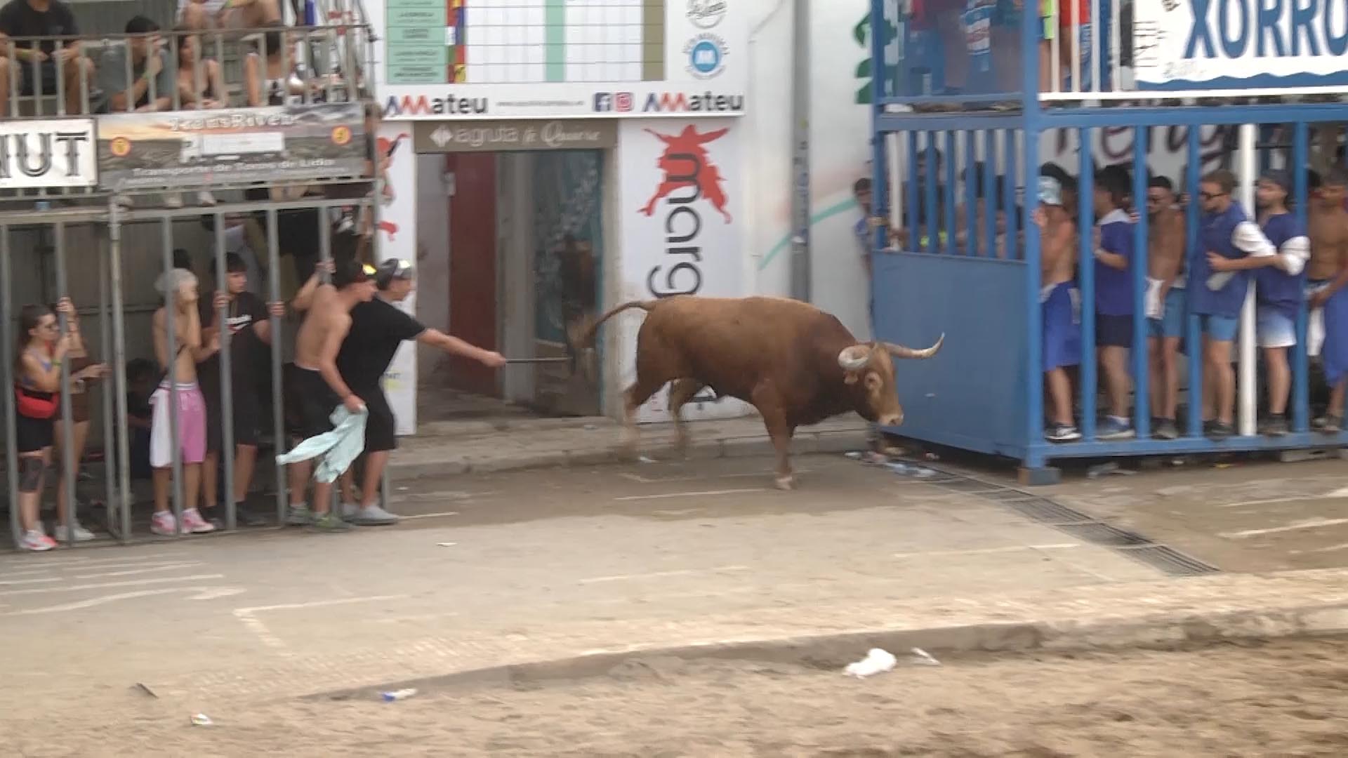 Póster del Video 1