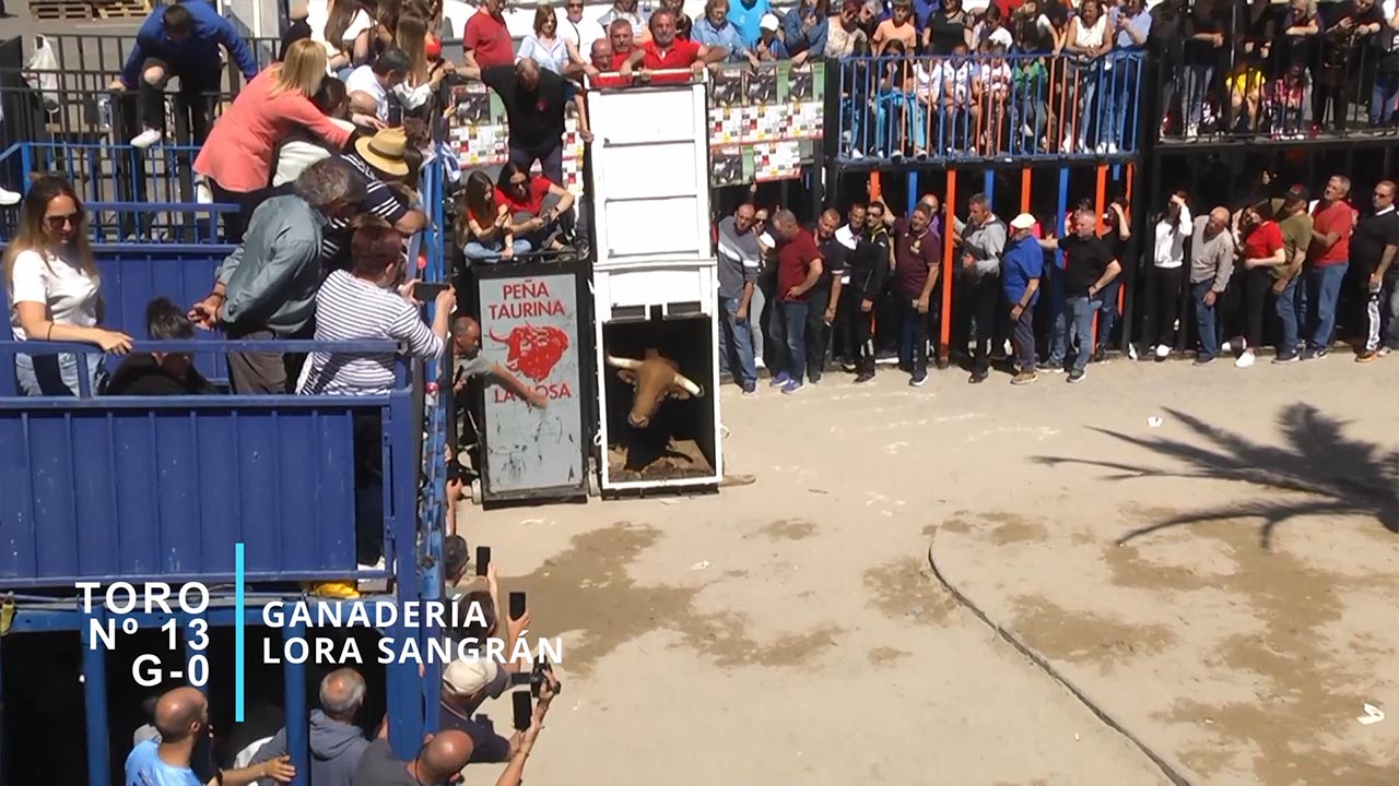 Póster del Video 1