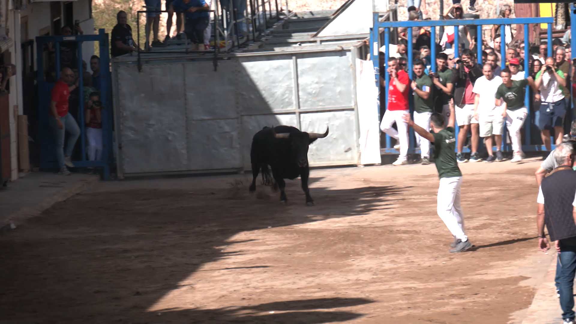 Póster del Video 1