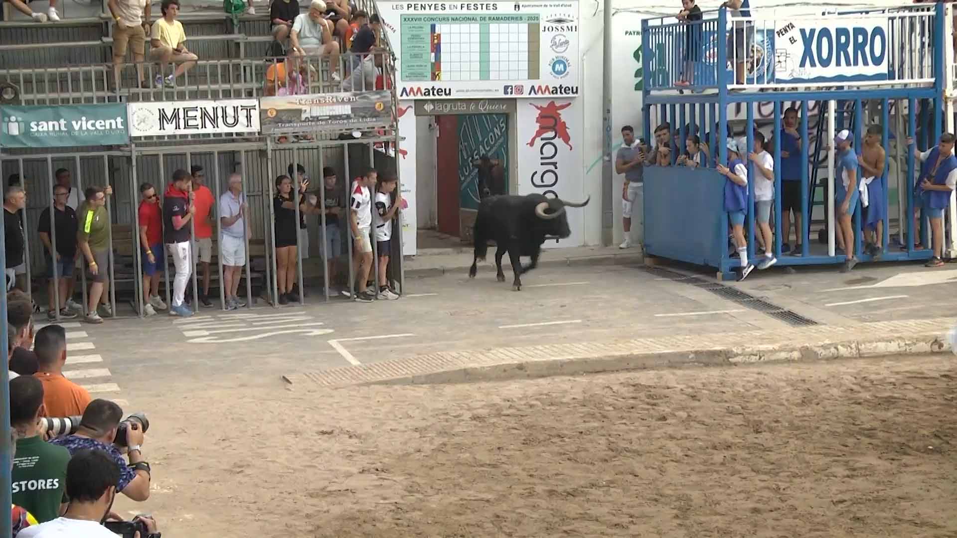 Póster del Video 1