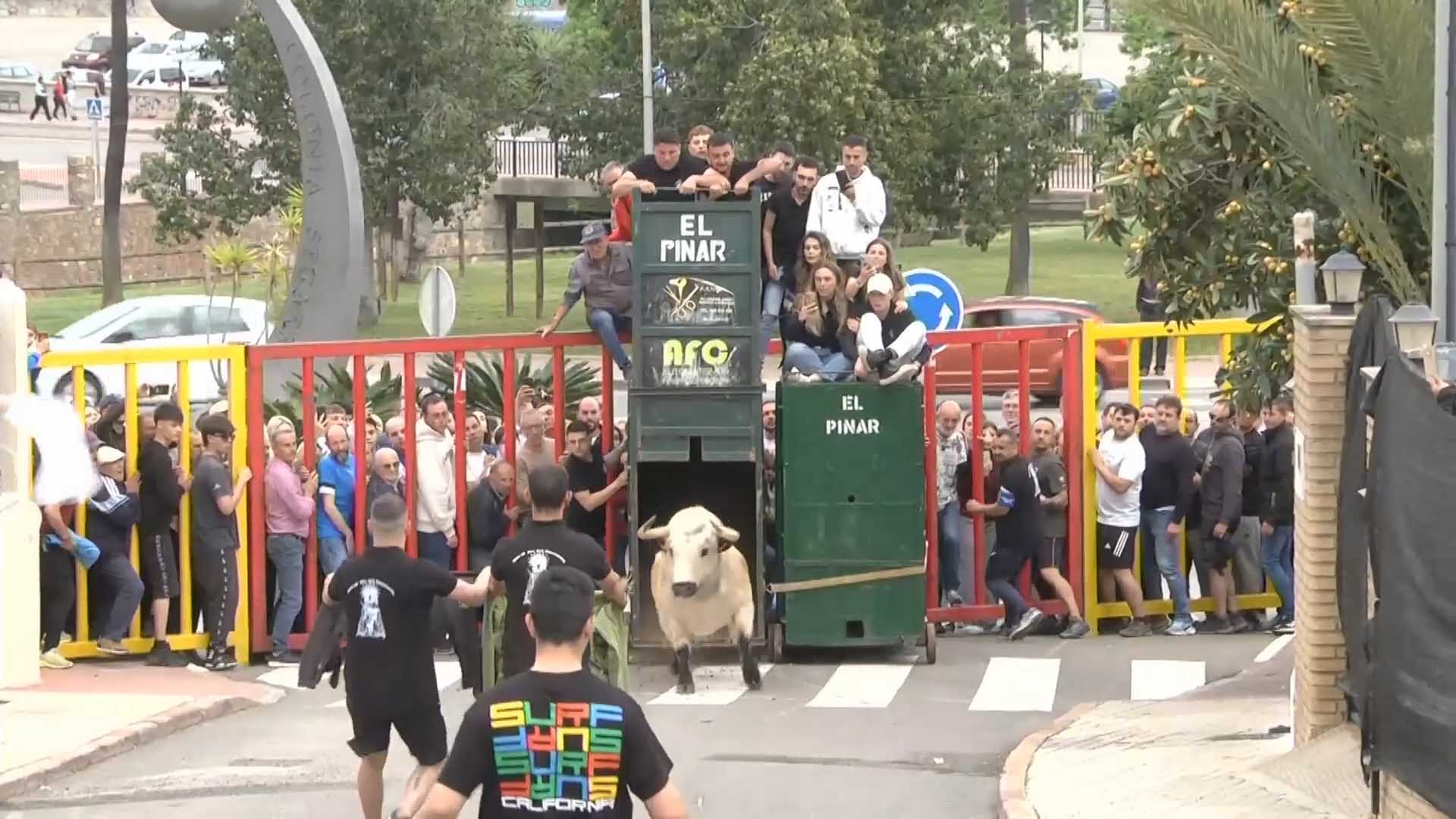 Póster del Video 1