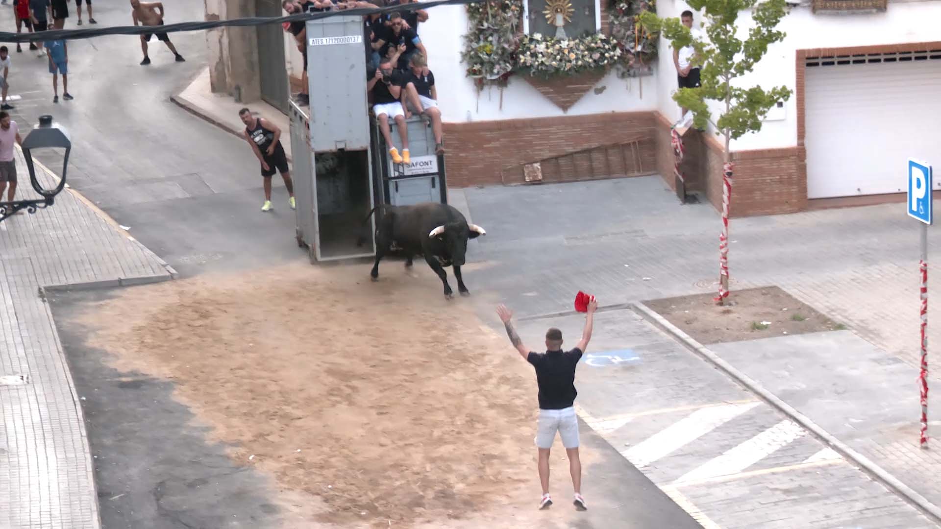 Póster del Video 1
