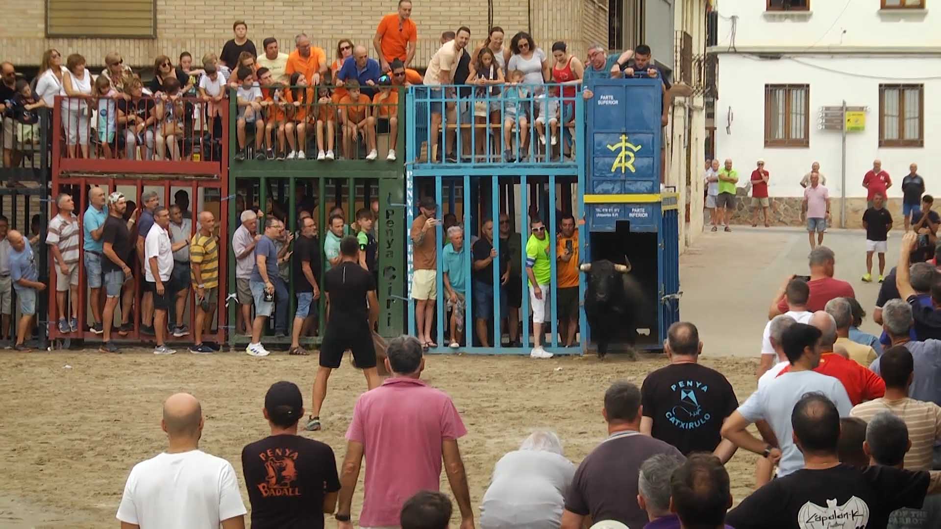 Póster del Video 1
