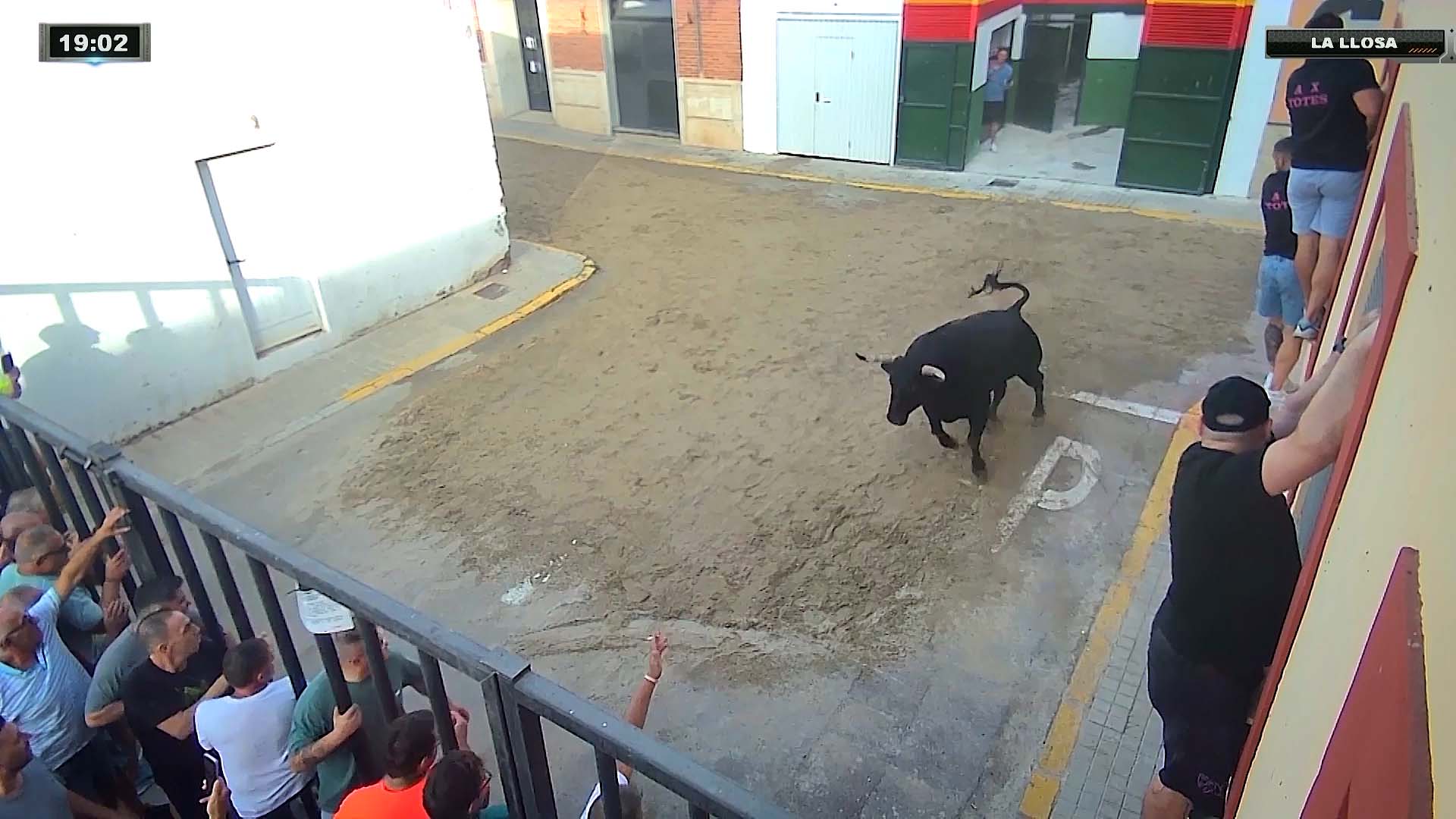 Póster del Video 1