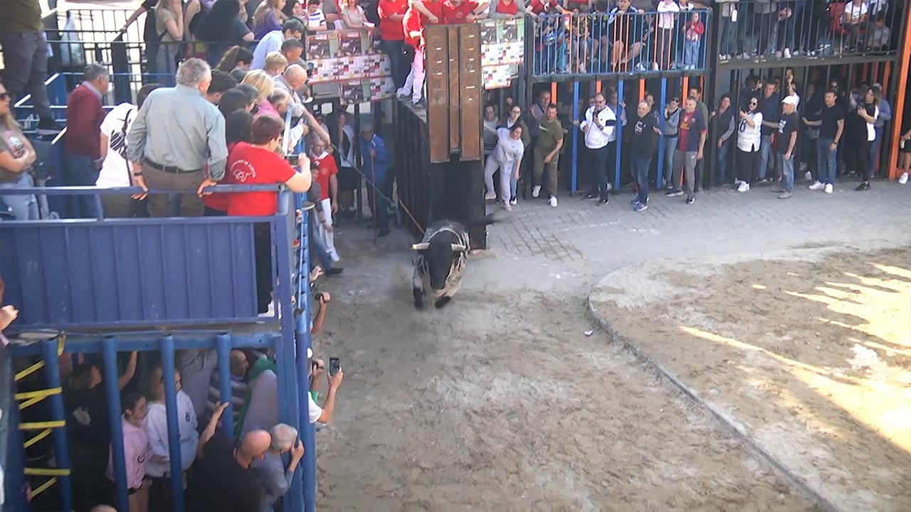 Póster del Video 1