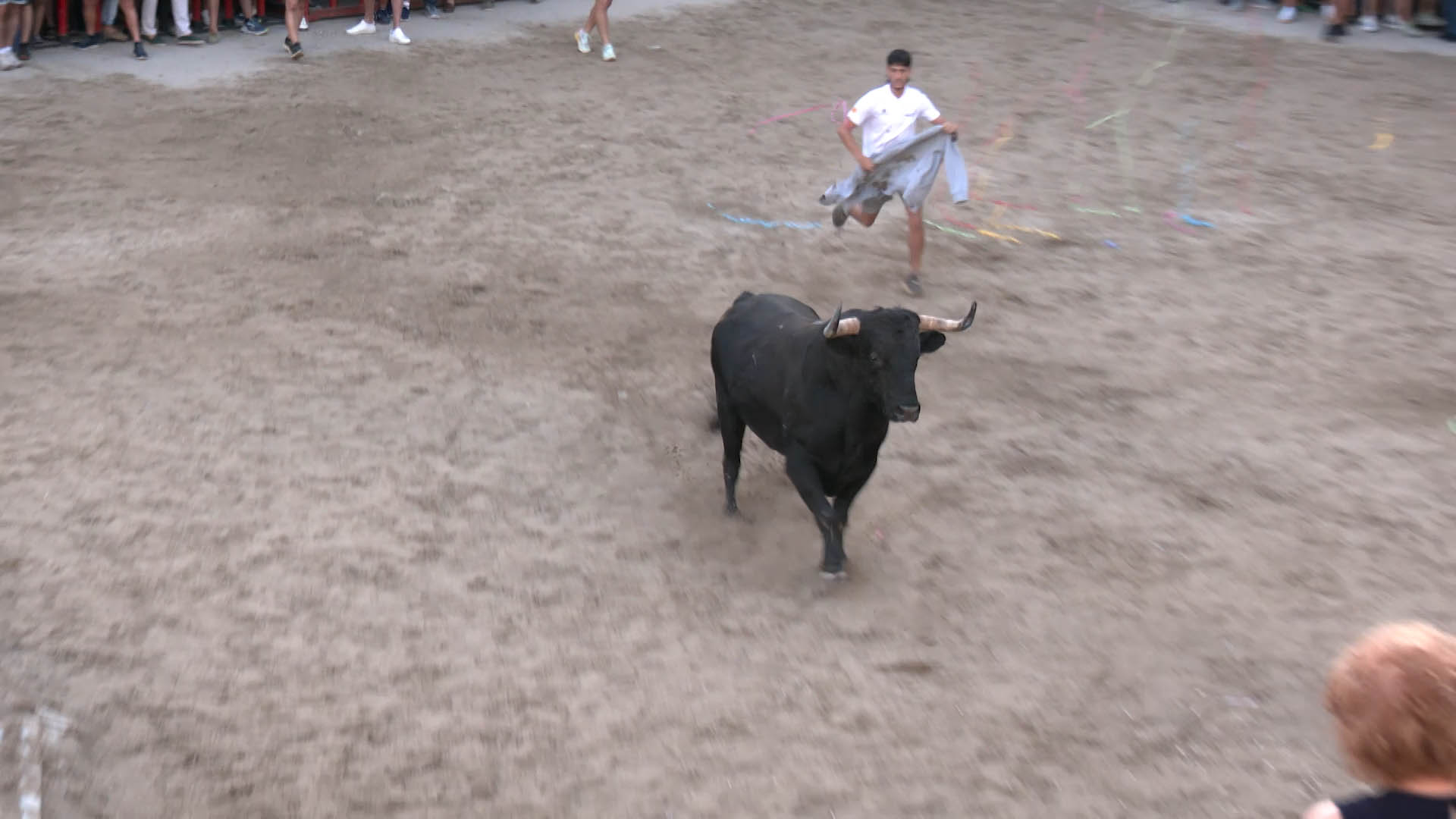 Póster del Video 1