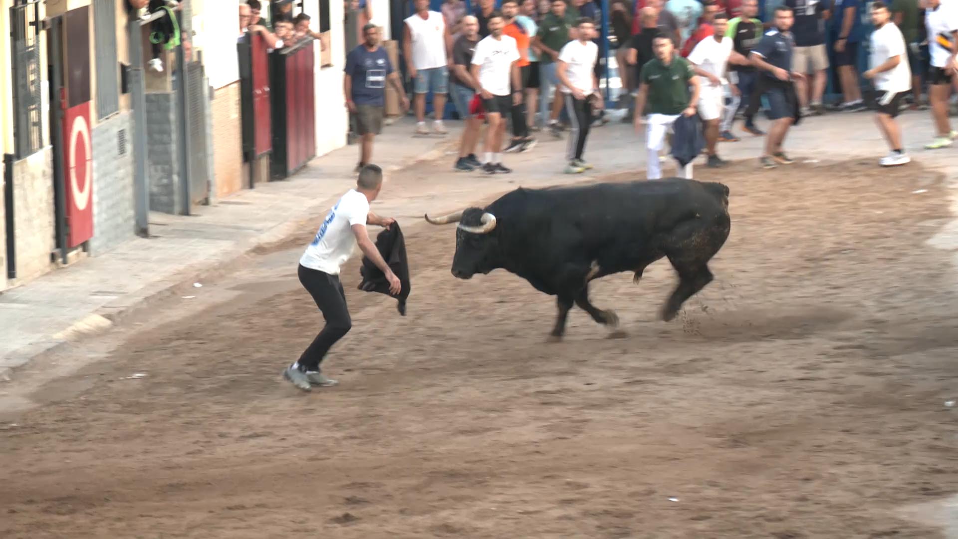 Póster del Video 1