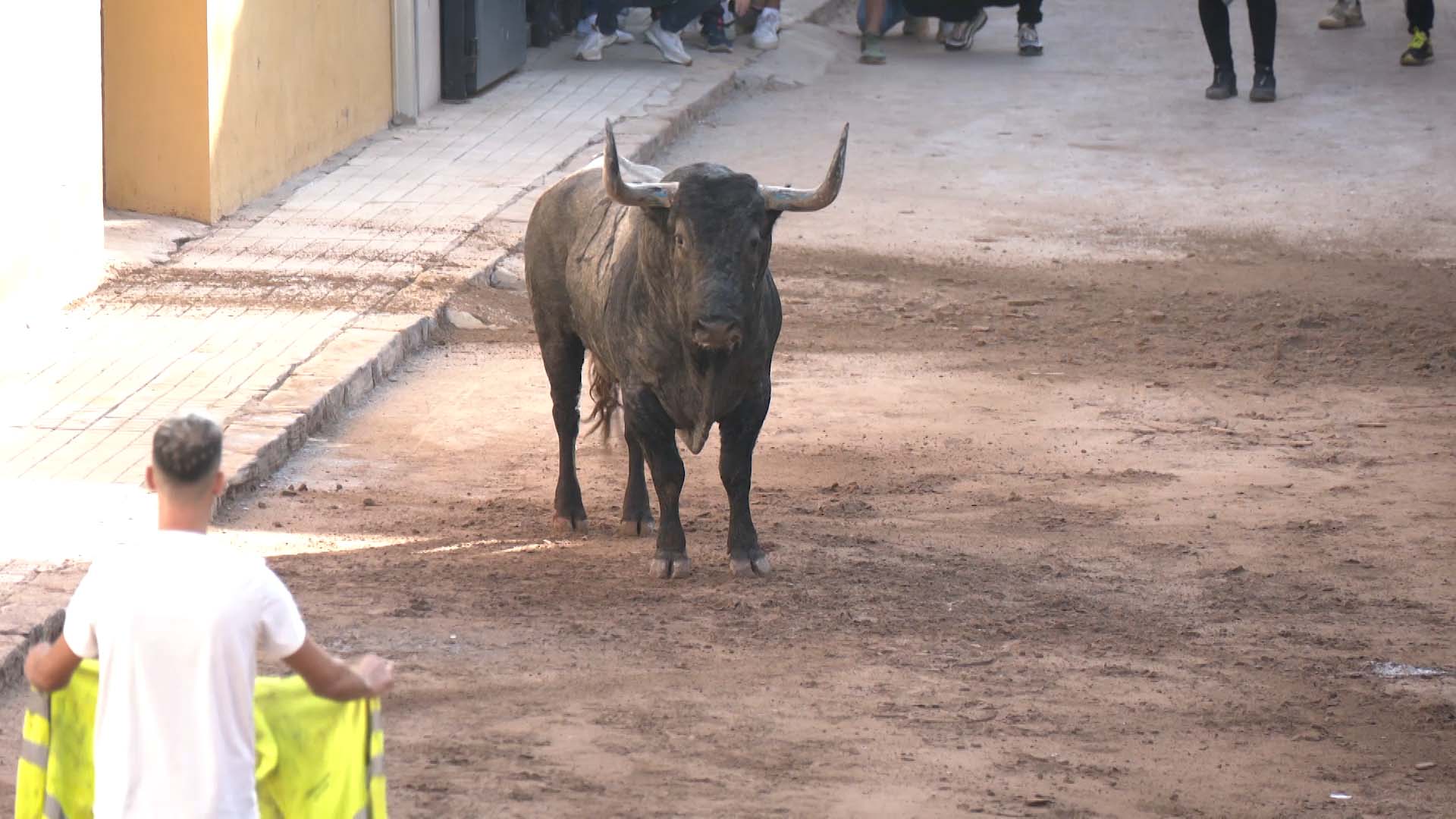 Póster del Video 1