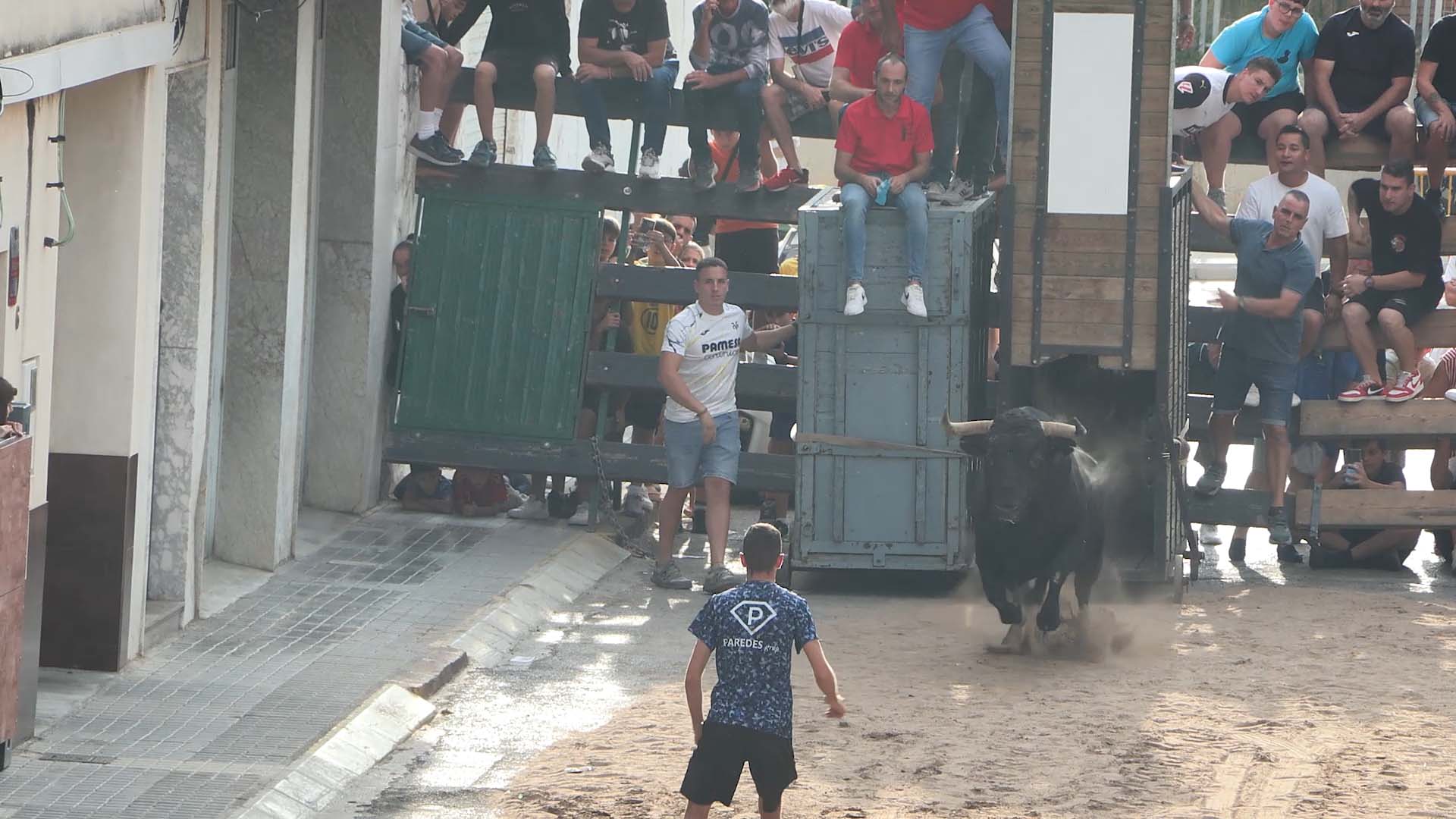 Póster del Video 1