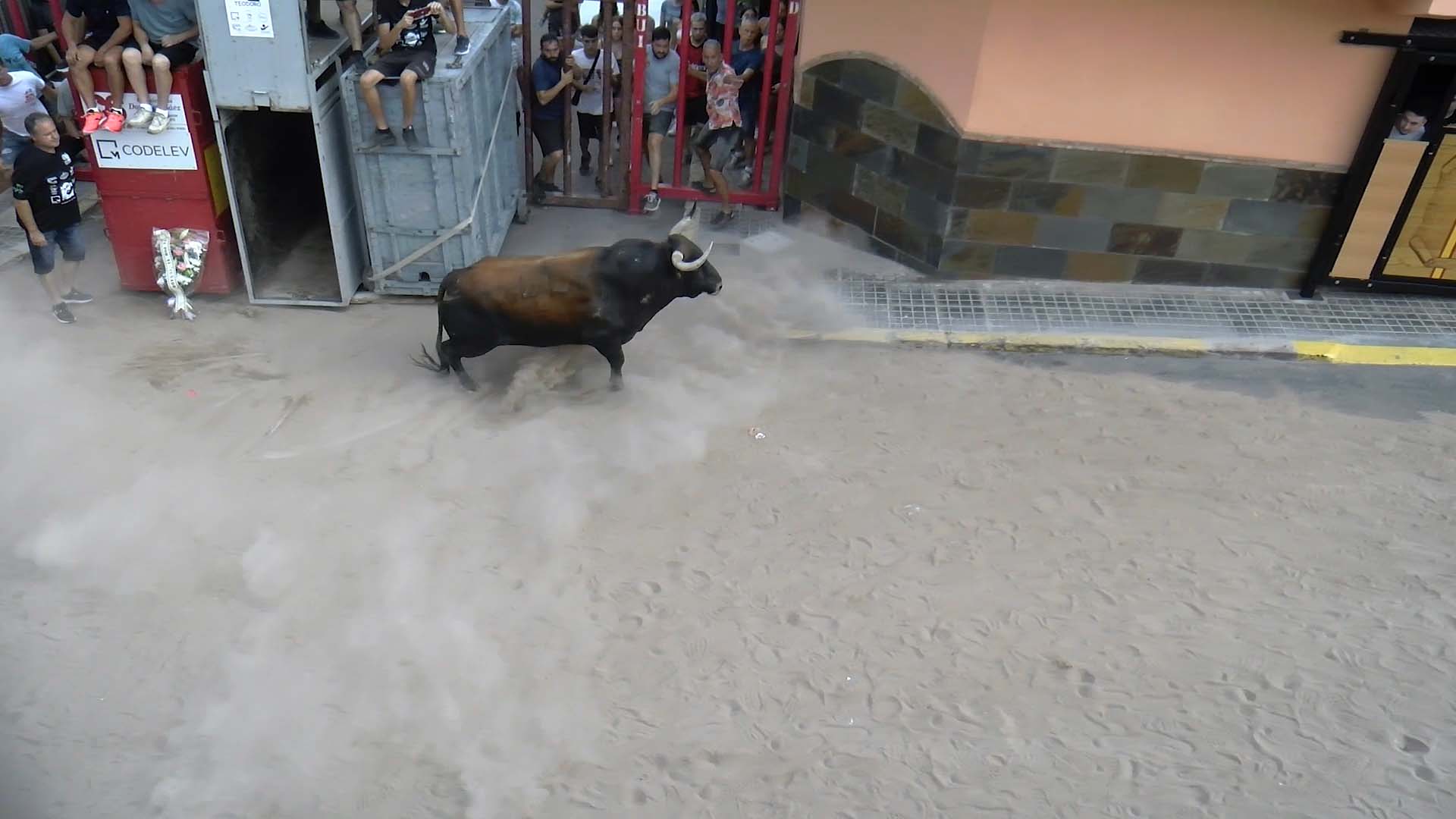 Póster del Video 1