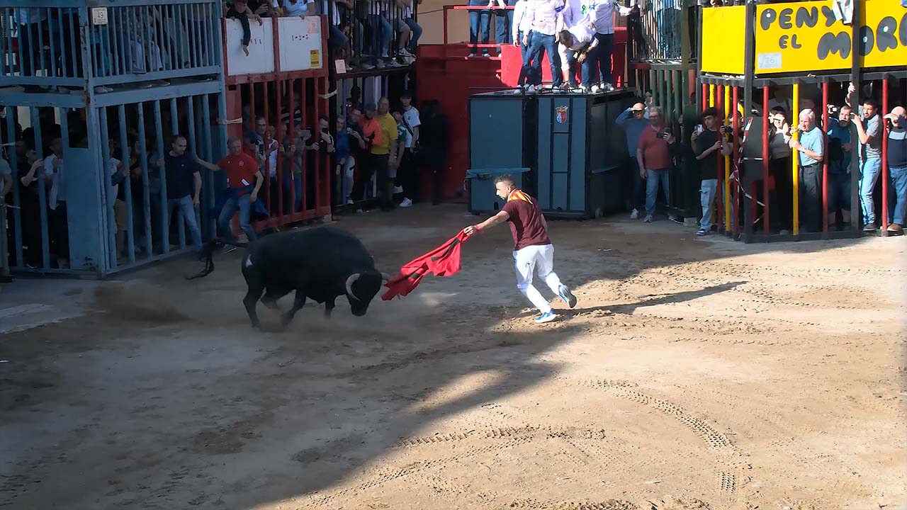 Póster del Video 1