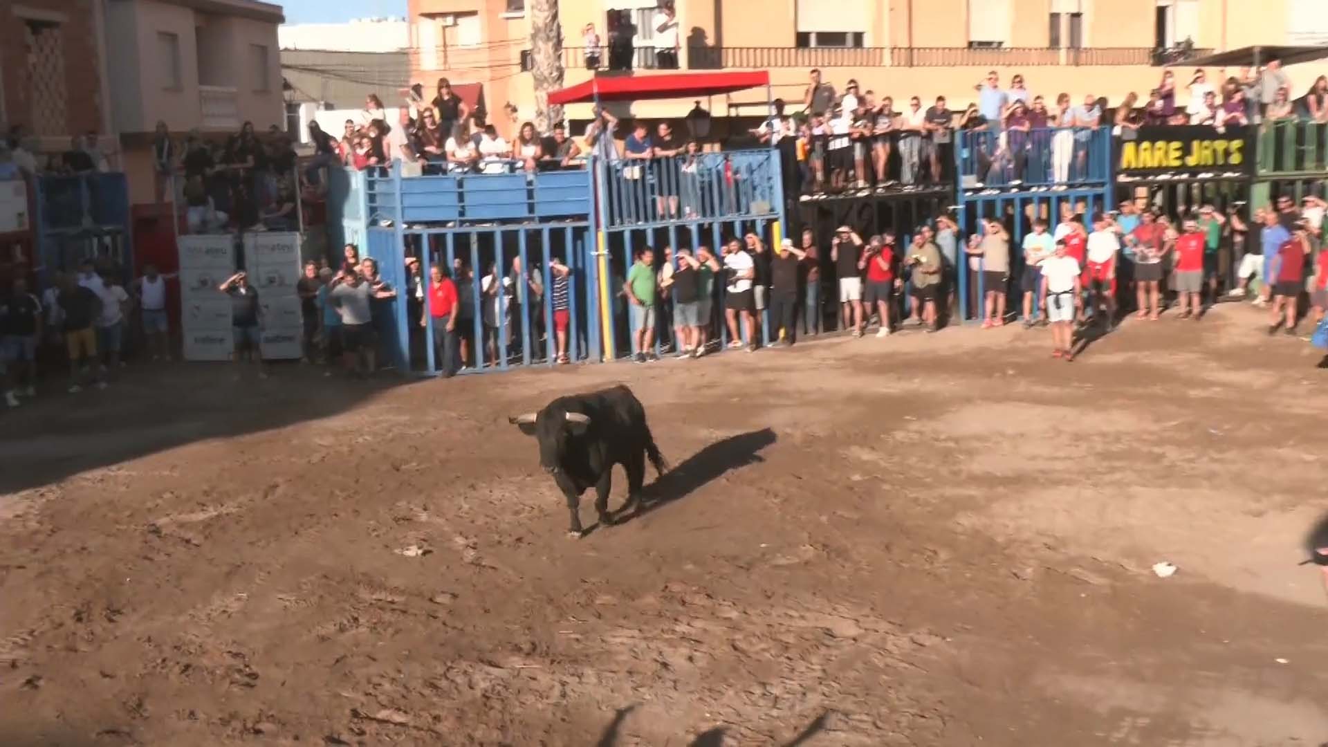 Póster del Video 1