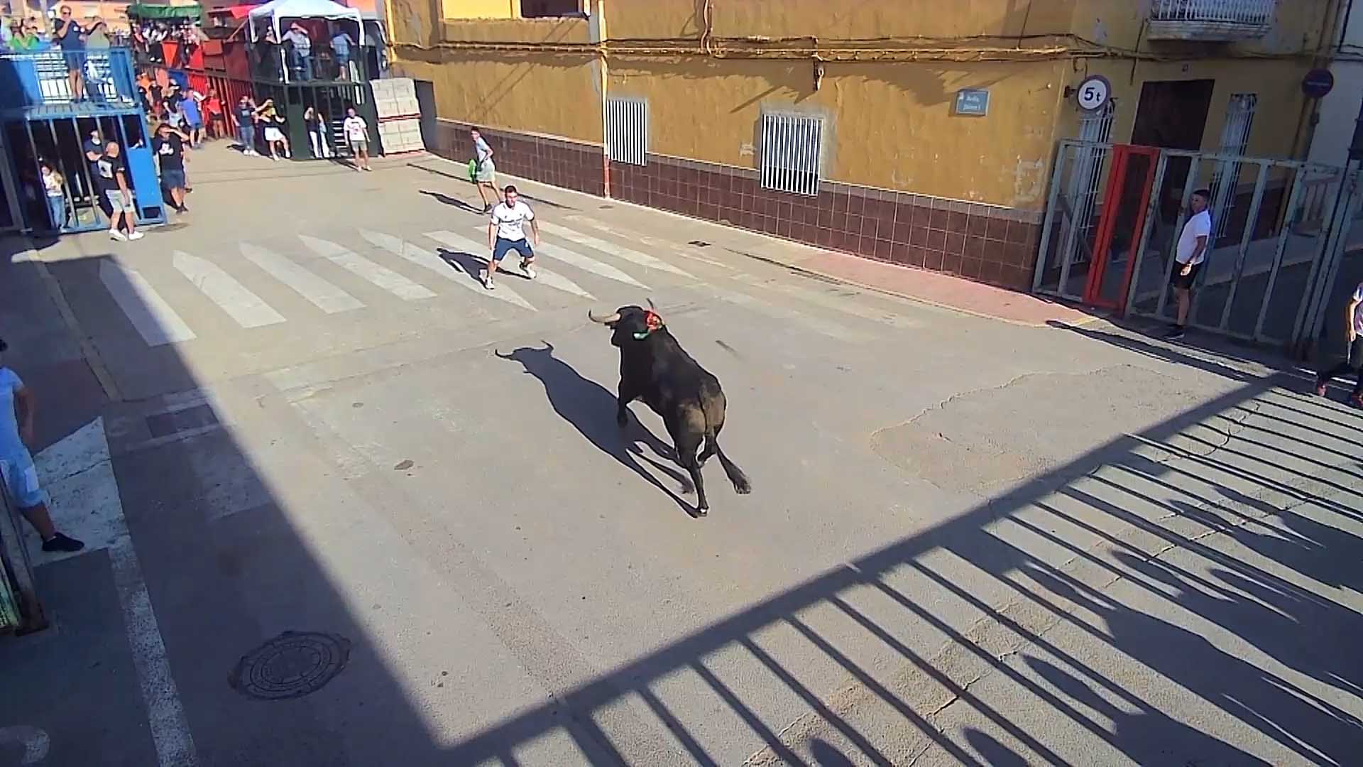 Póster del Video 1