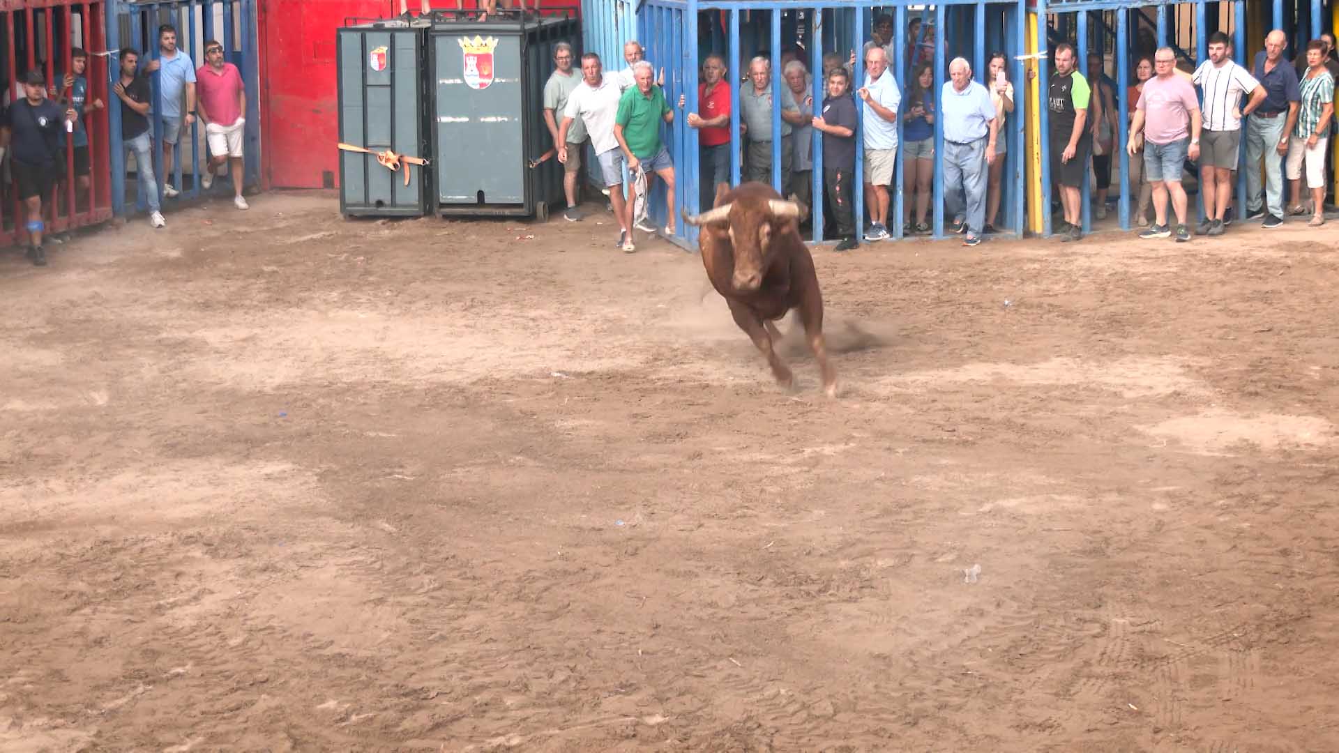 Póster del Video 1