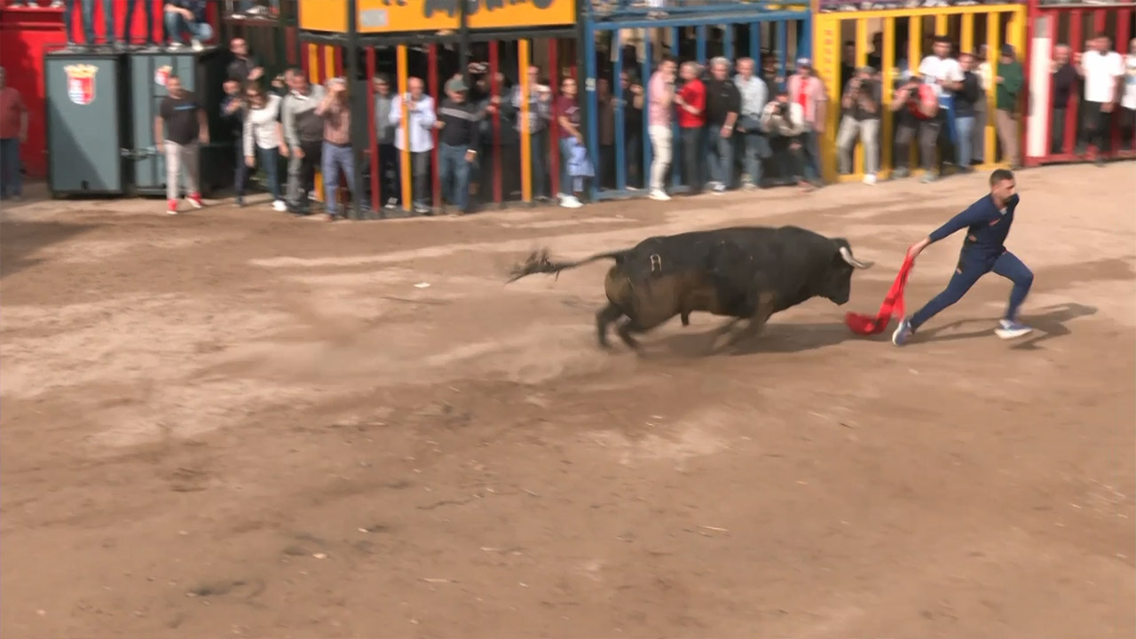 Póster del Video 1