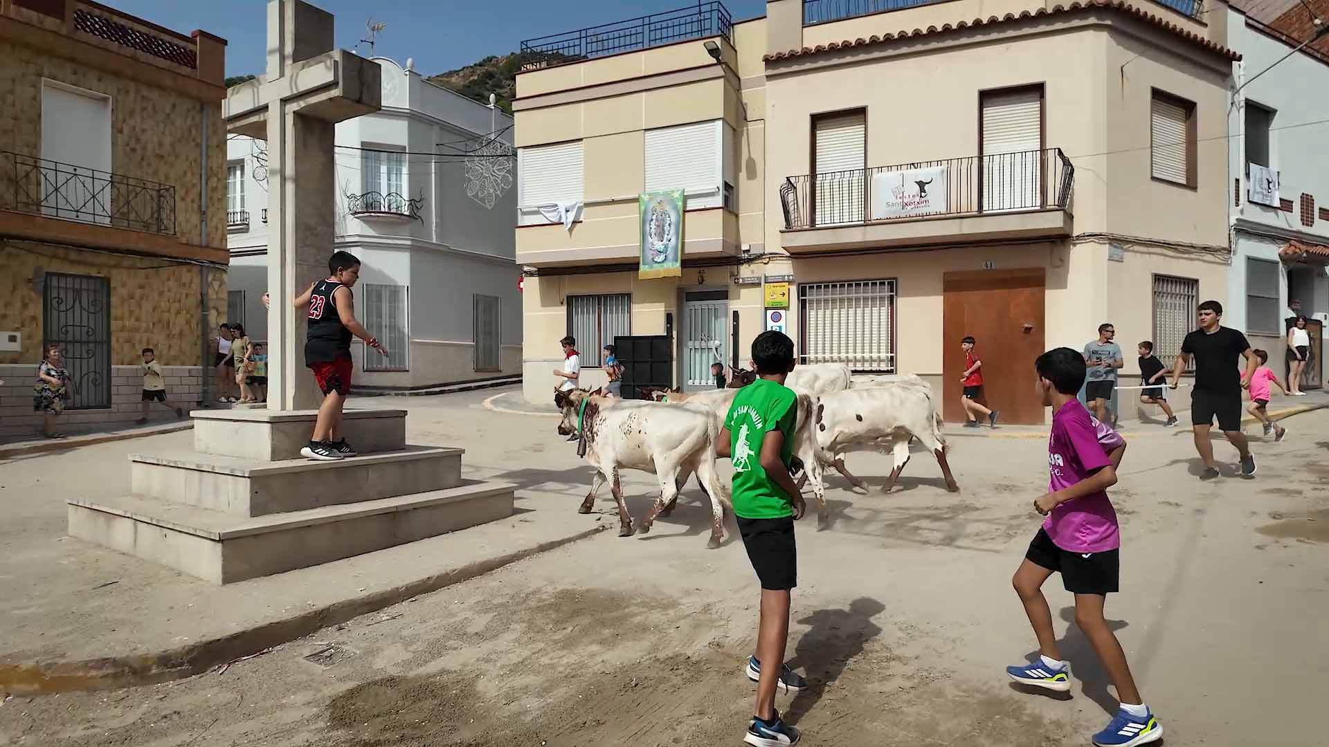 Póster del Video 1