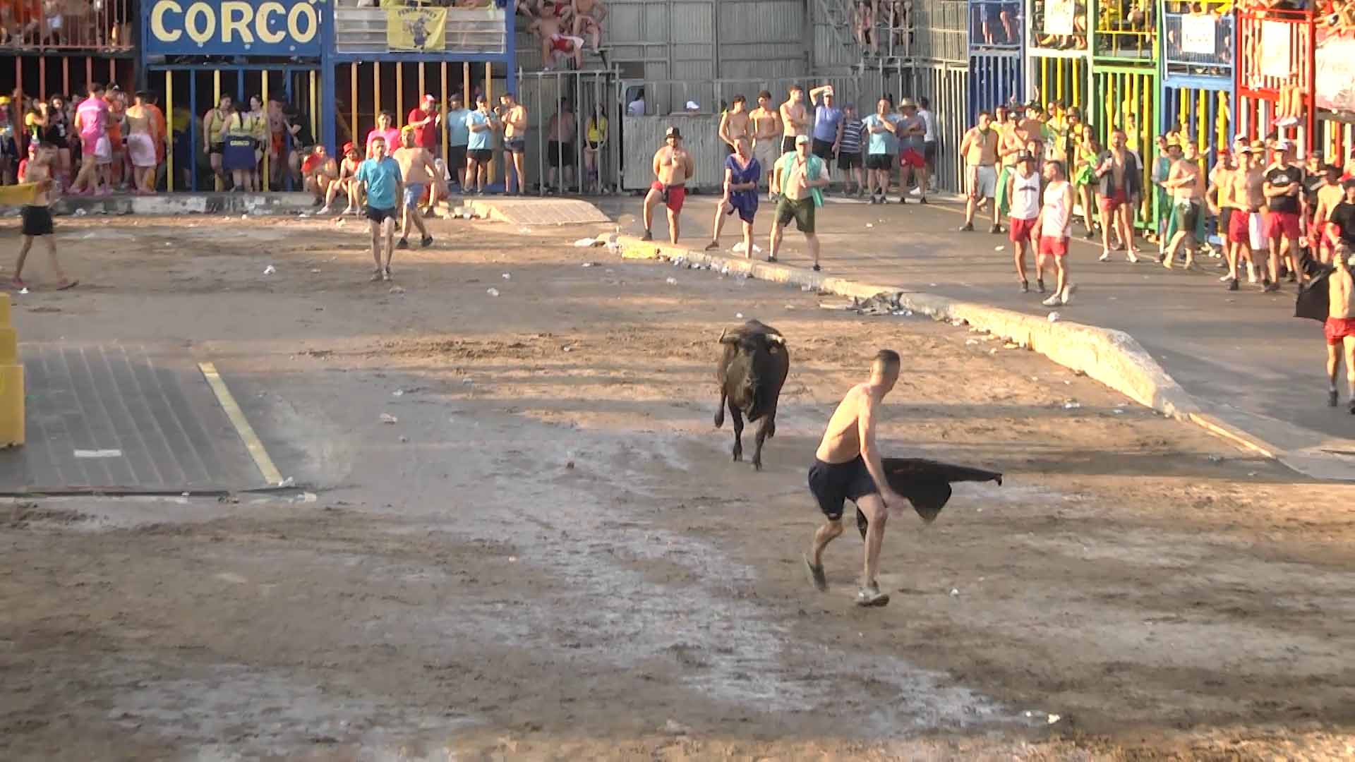 Póster del Video 1