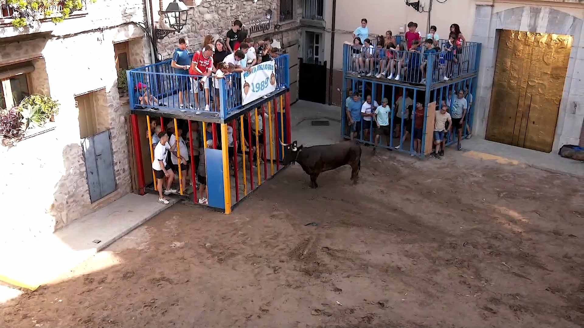 Póster del Video 1