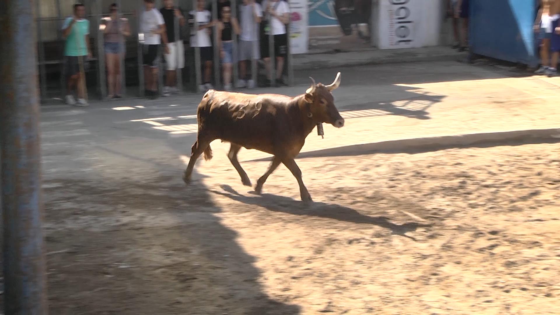 Póster del Video 1
